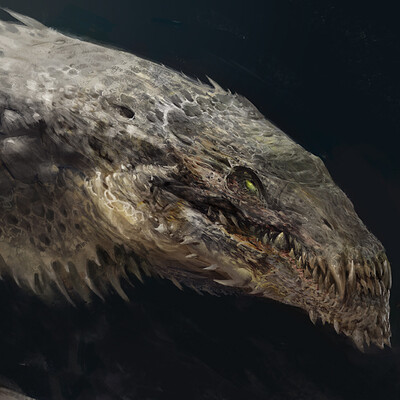 Antonio j manzanedo dragon study manzanedo