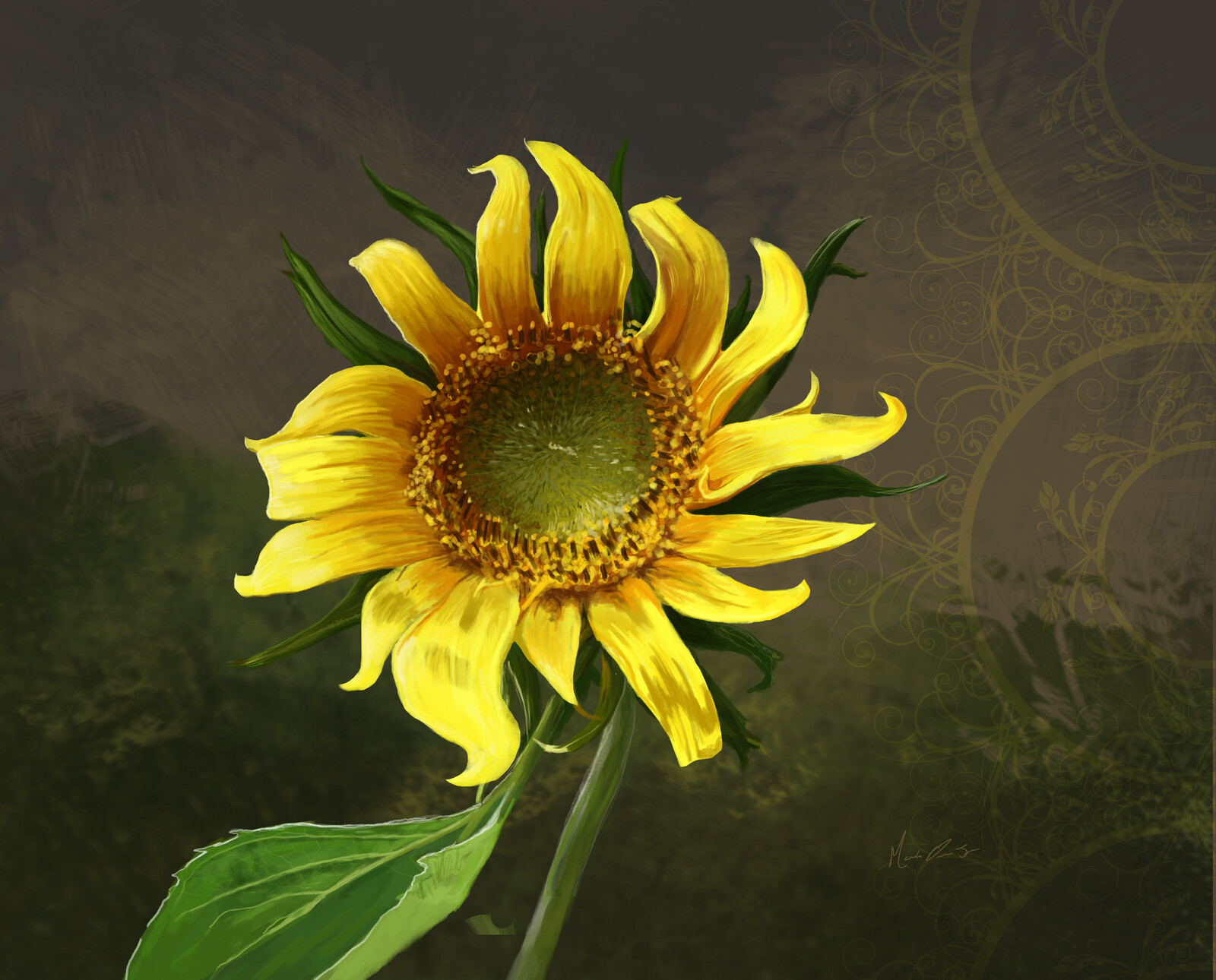 Sunflower 1