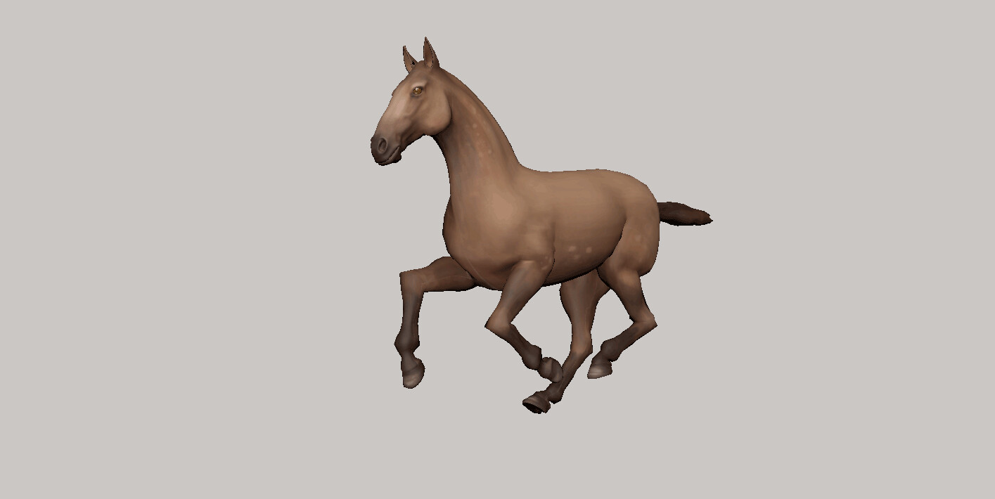 ArtStation Horse quadruped practice animation