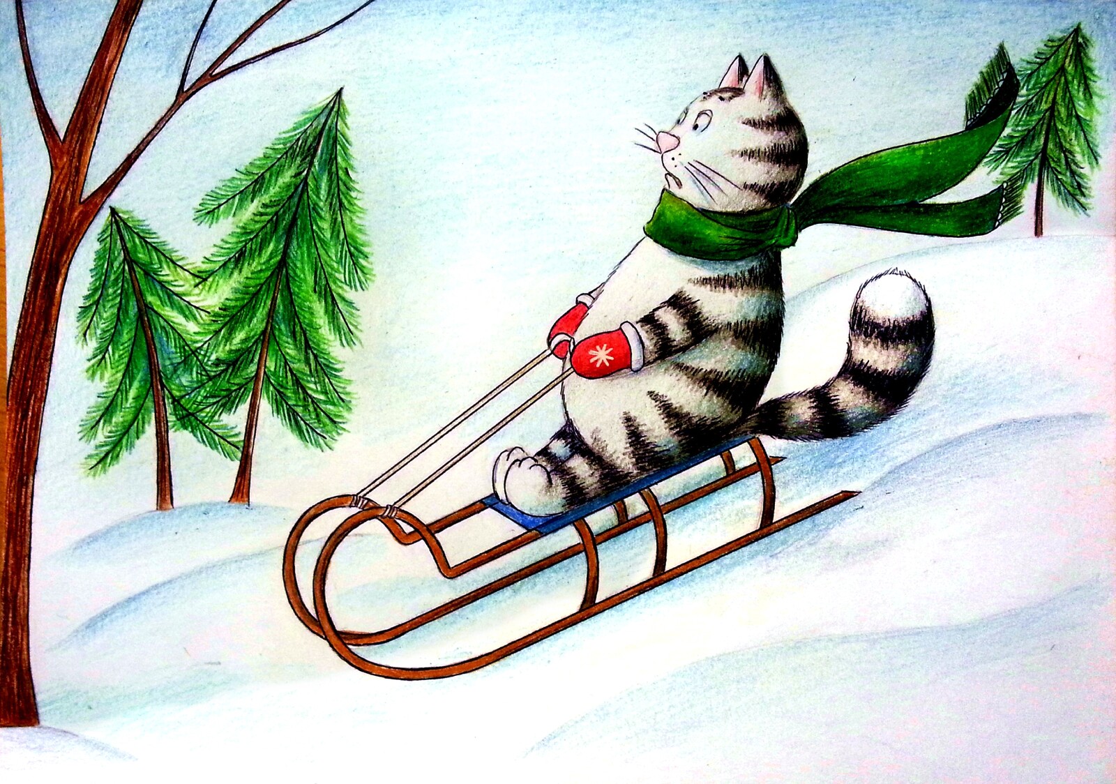 Кошка на лыжах