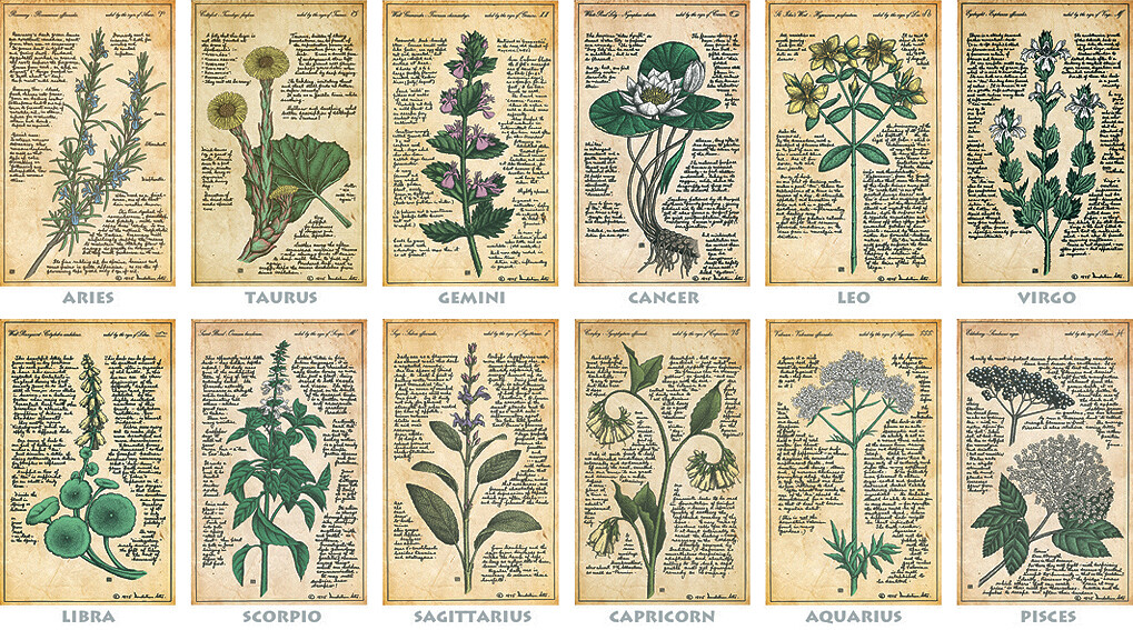 "HEALING HERBS OF THE ZODIAC" series of print designs
