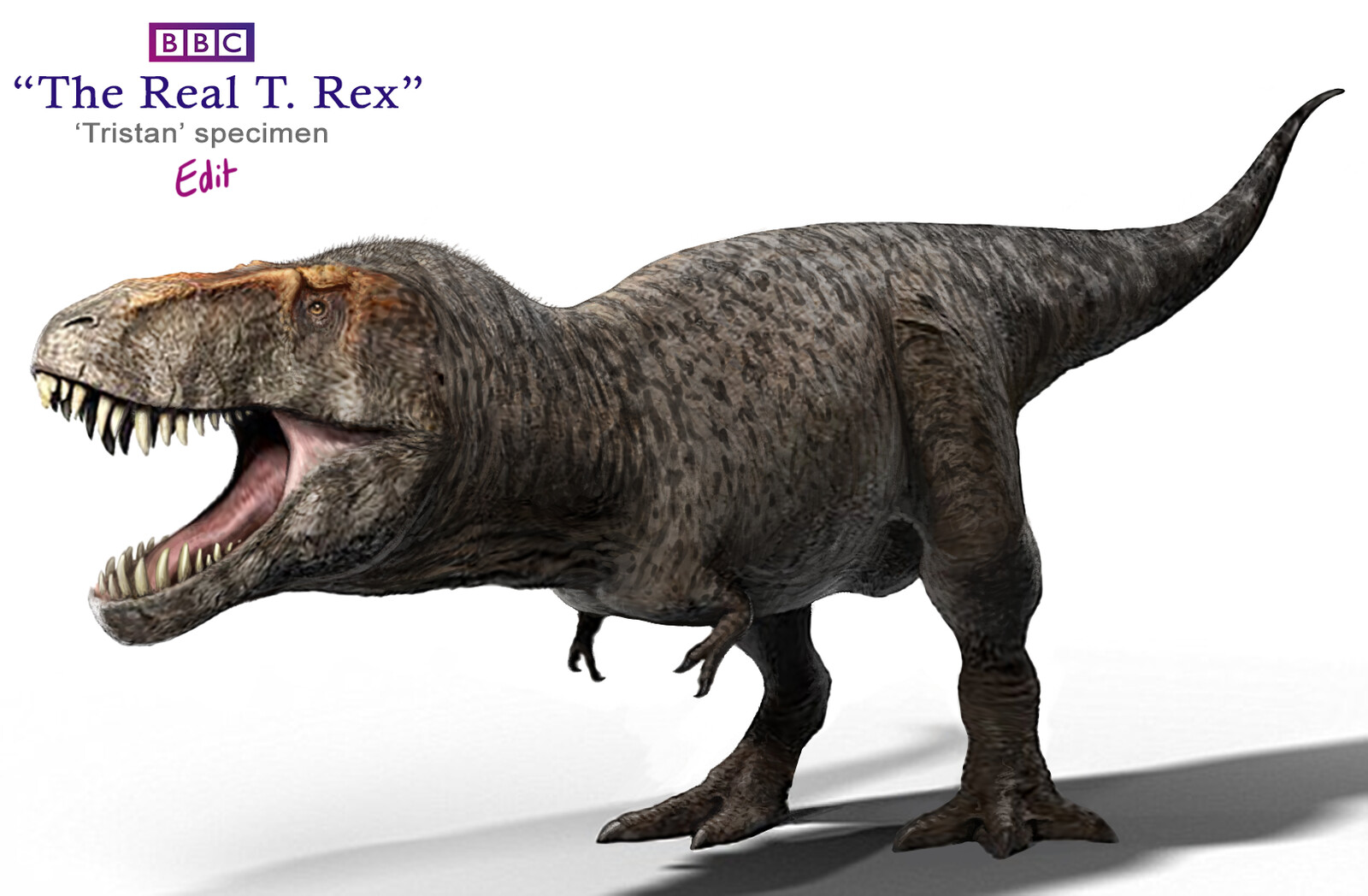 accurate t rex head