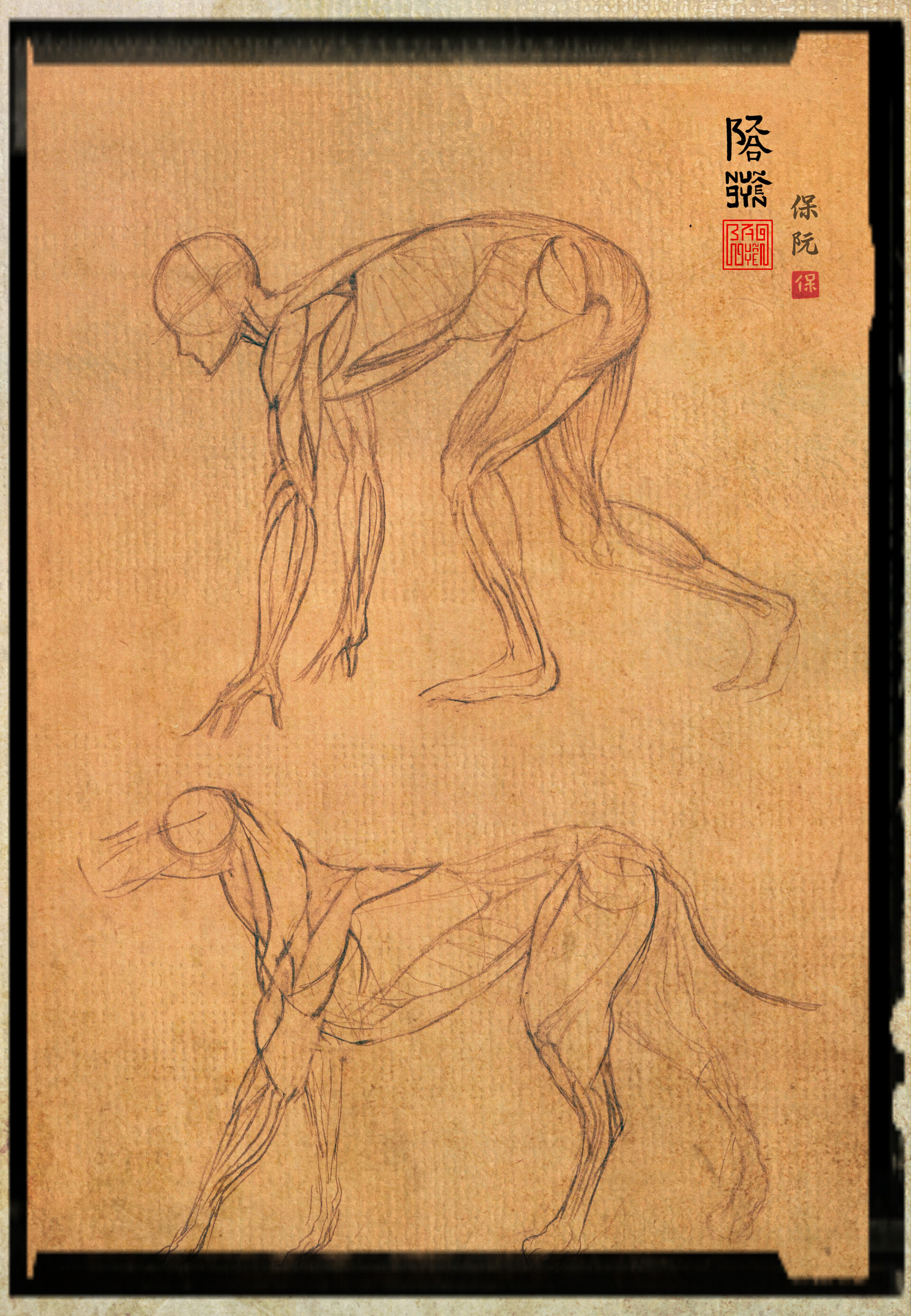 ArtStation - 30 - Animal Anatomy - Man and His Best Friend - Bao Nguyen 30 - Animal Anatomy - Man and His Best Friend - Bao Nguyen... 