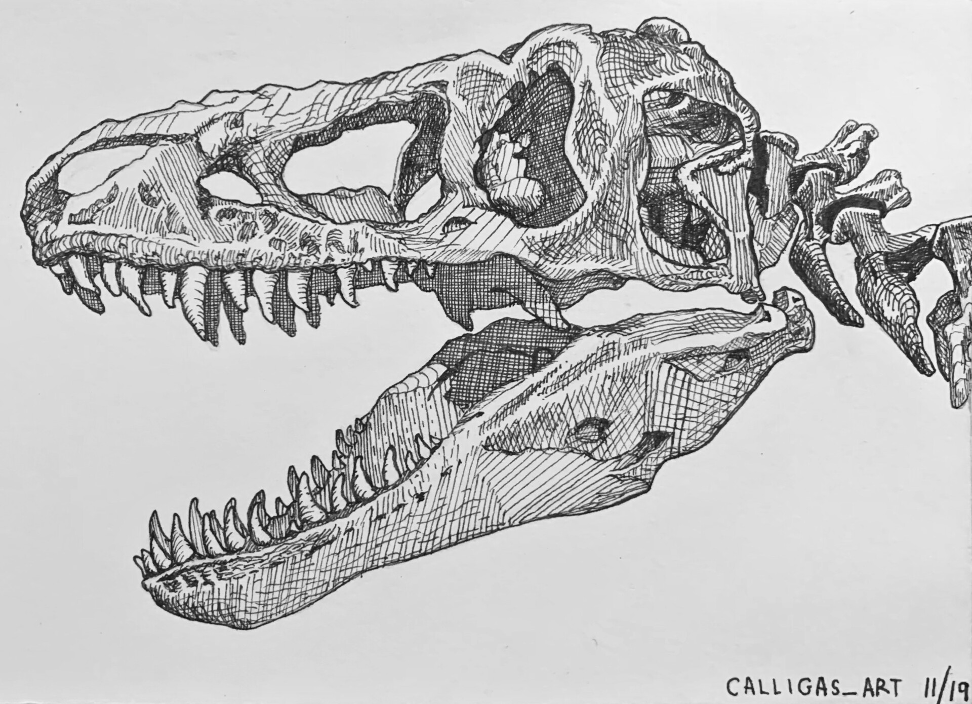 Тарбозавр скелет