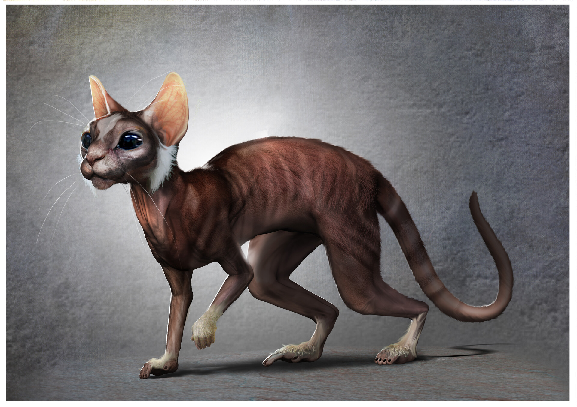 Artstation Cat Chimeran Spliced With A Monkey Ryan Firchau