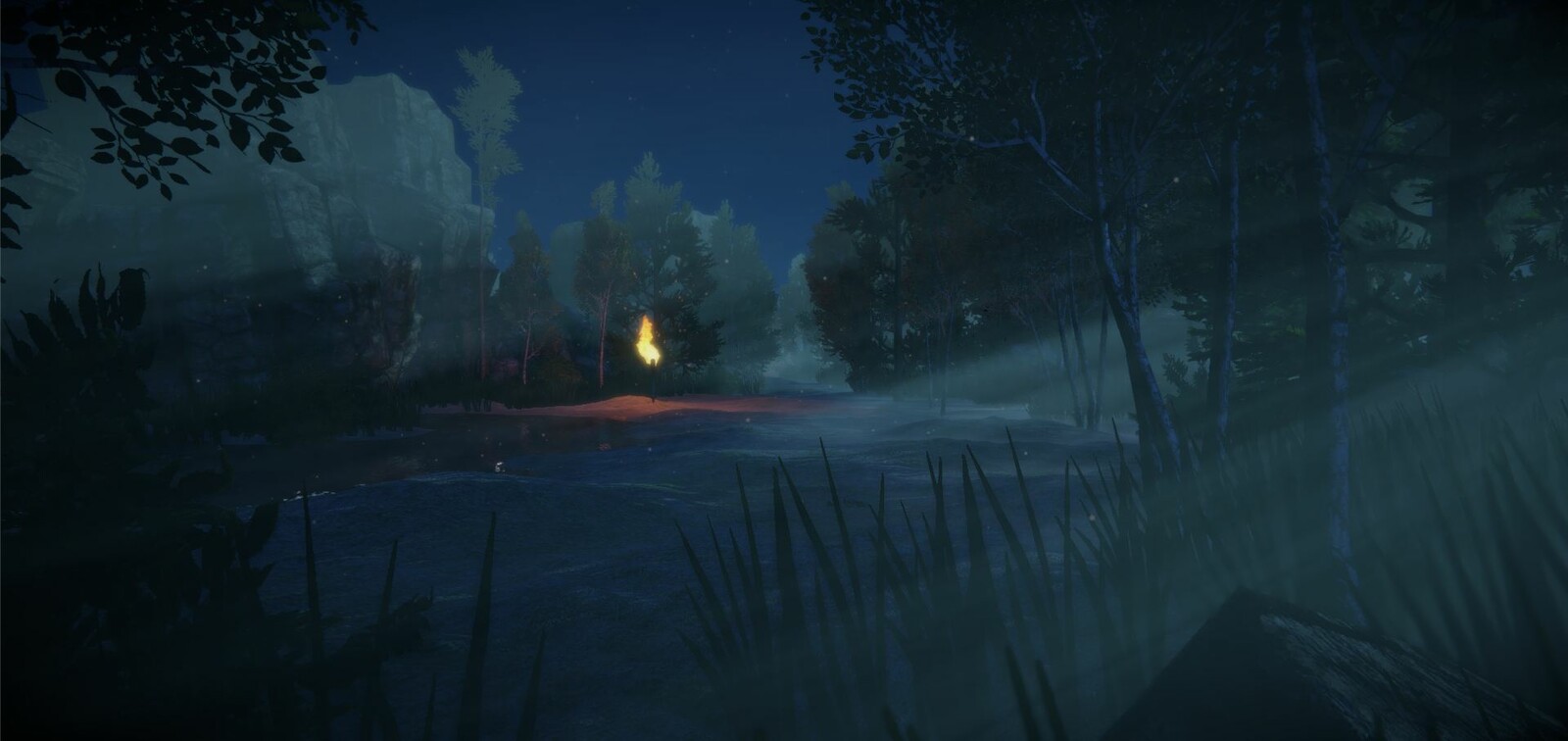 Forest