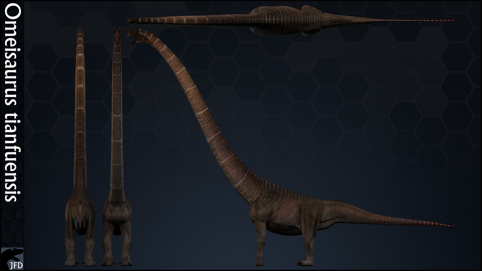 Omeisaurus tianfuensis orthographic multi-view render.