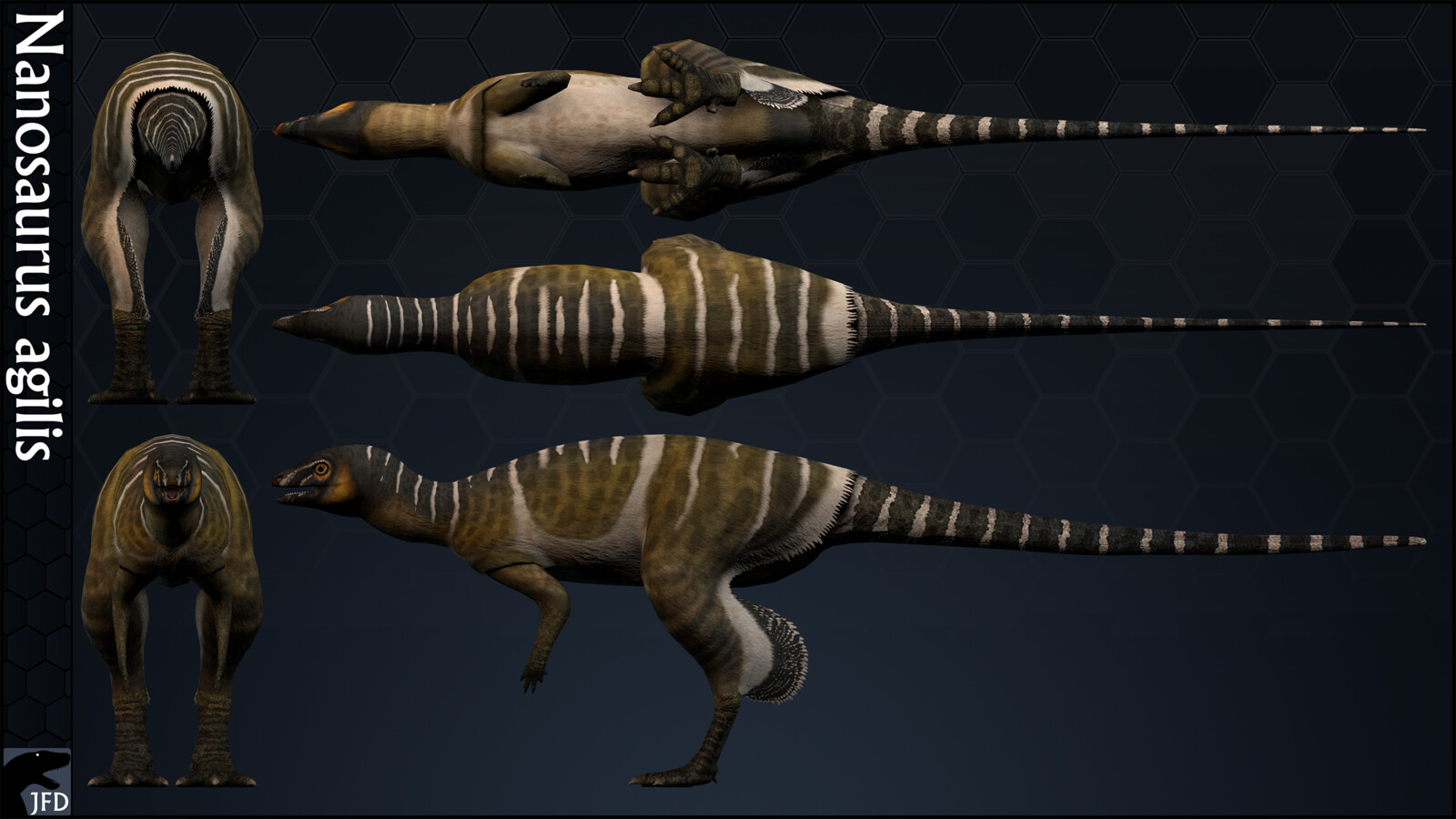 Nanosaurus agilis orthographic multi-view render.