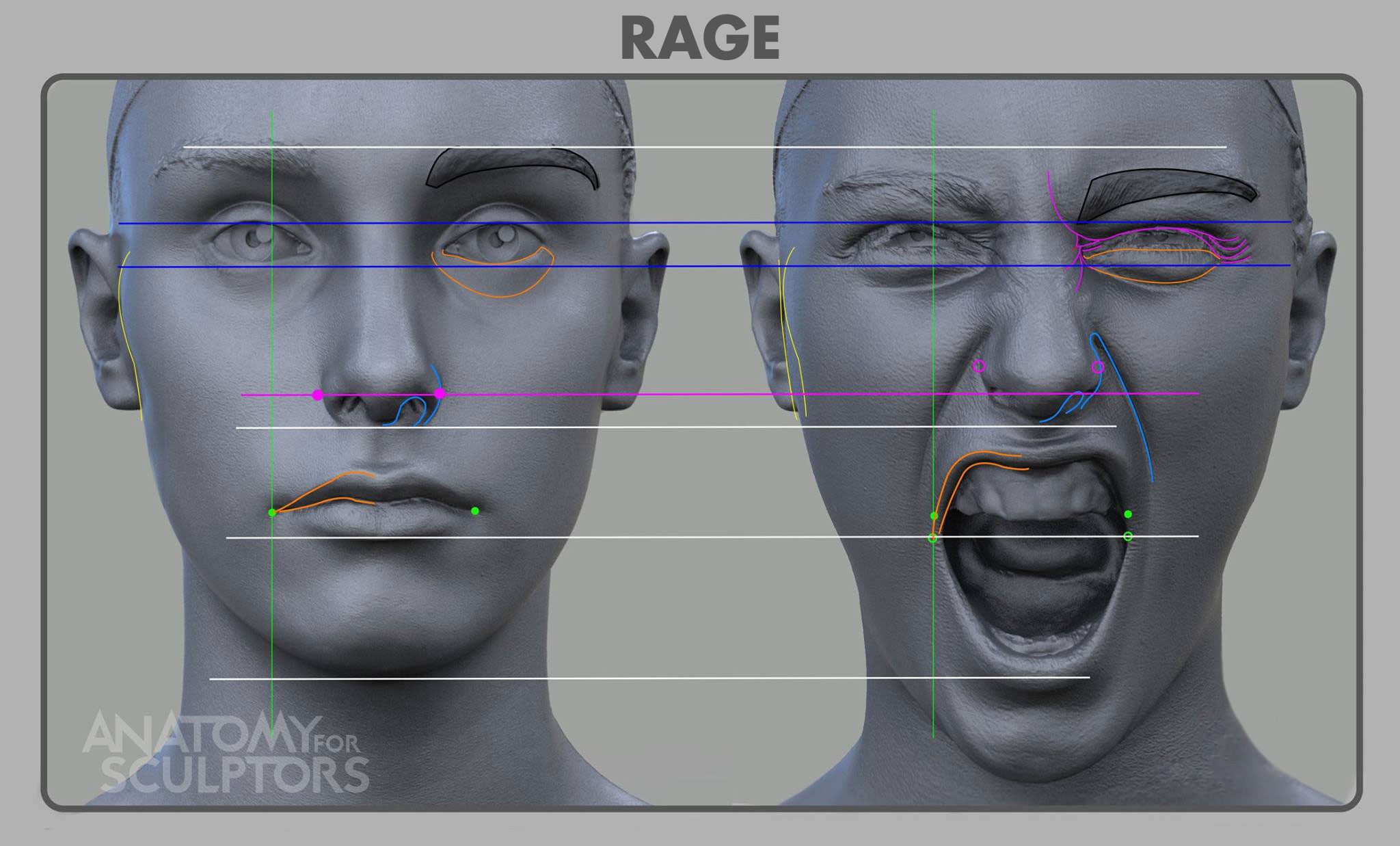 Rage Forms Front-View
