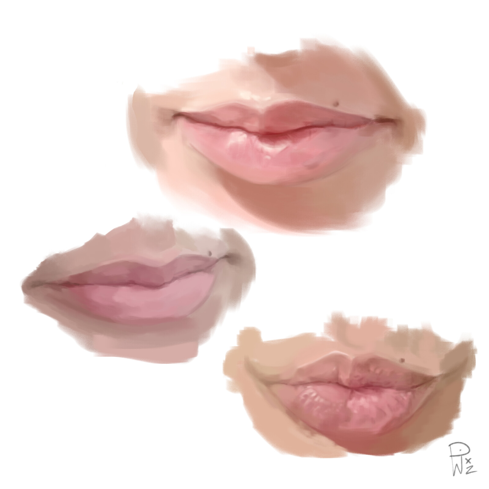 Lip Study