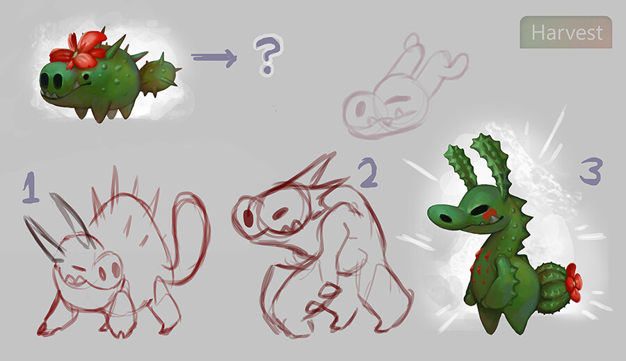 concepts for cactus final form