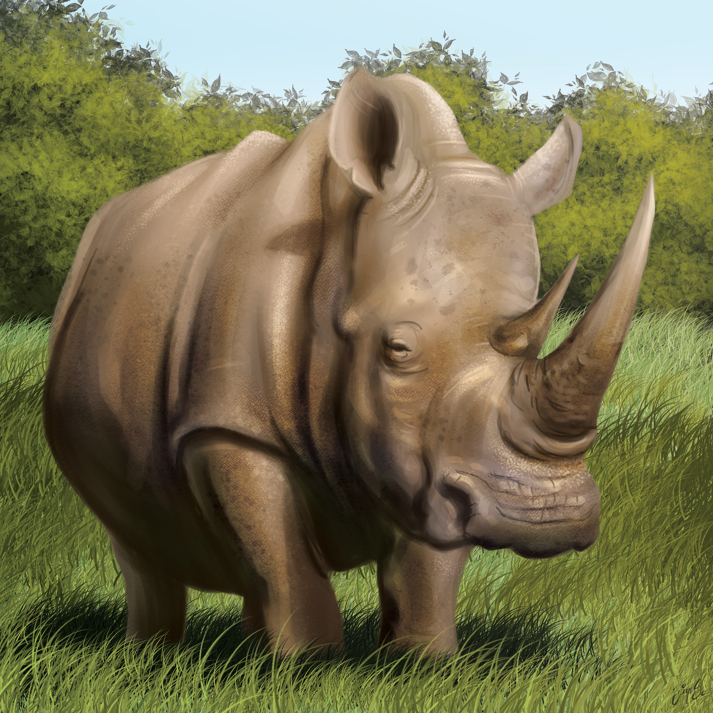 Tile illustration - Rhinoceros