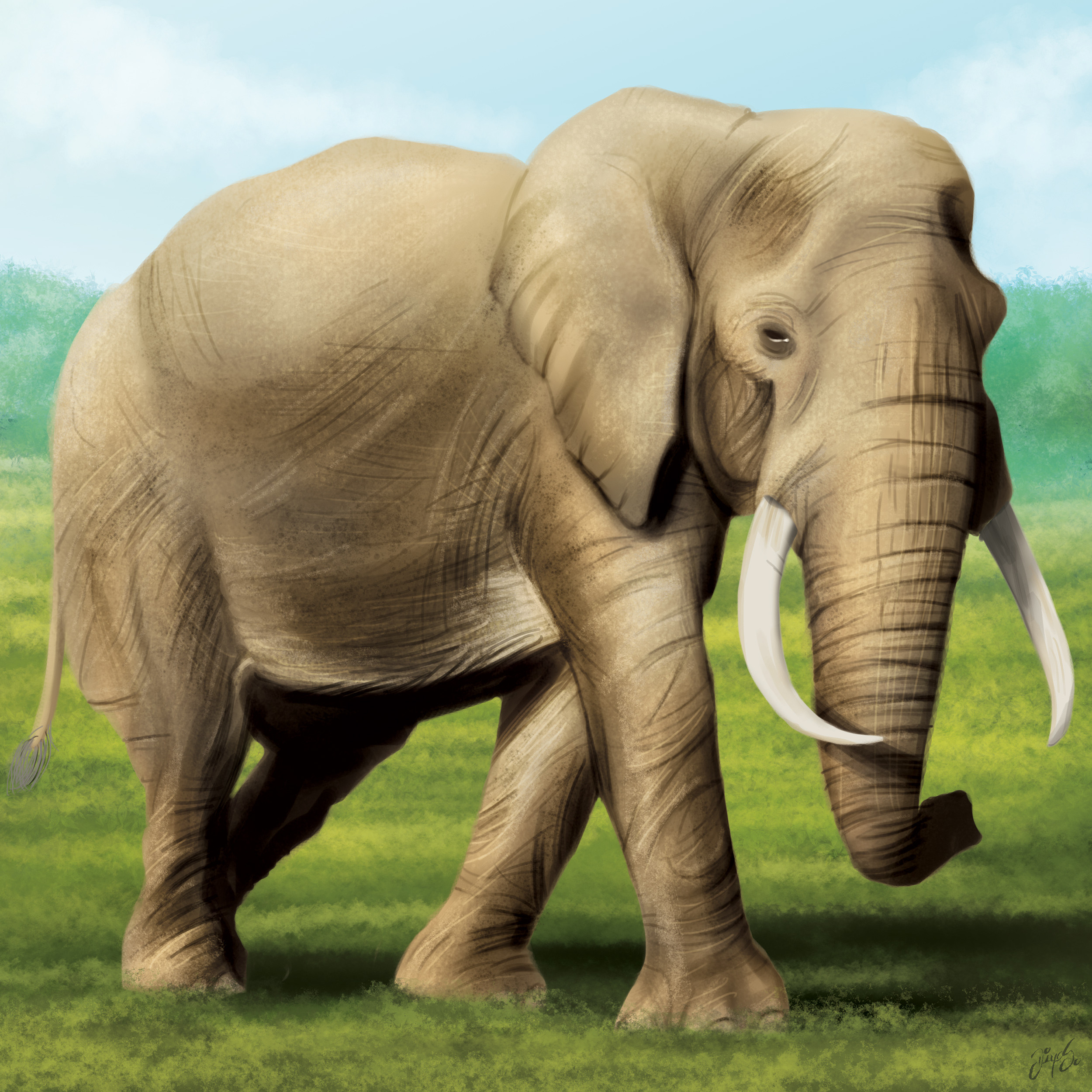 Tile illustration - Elephant