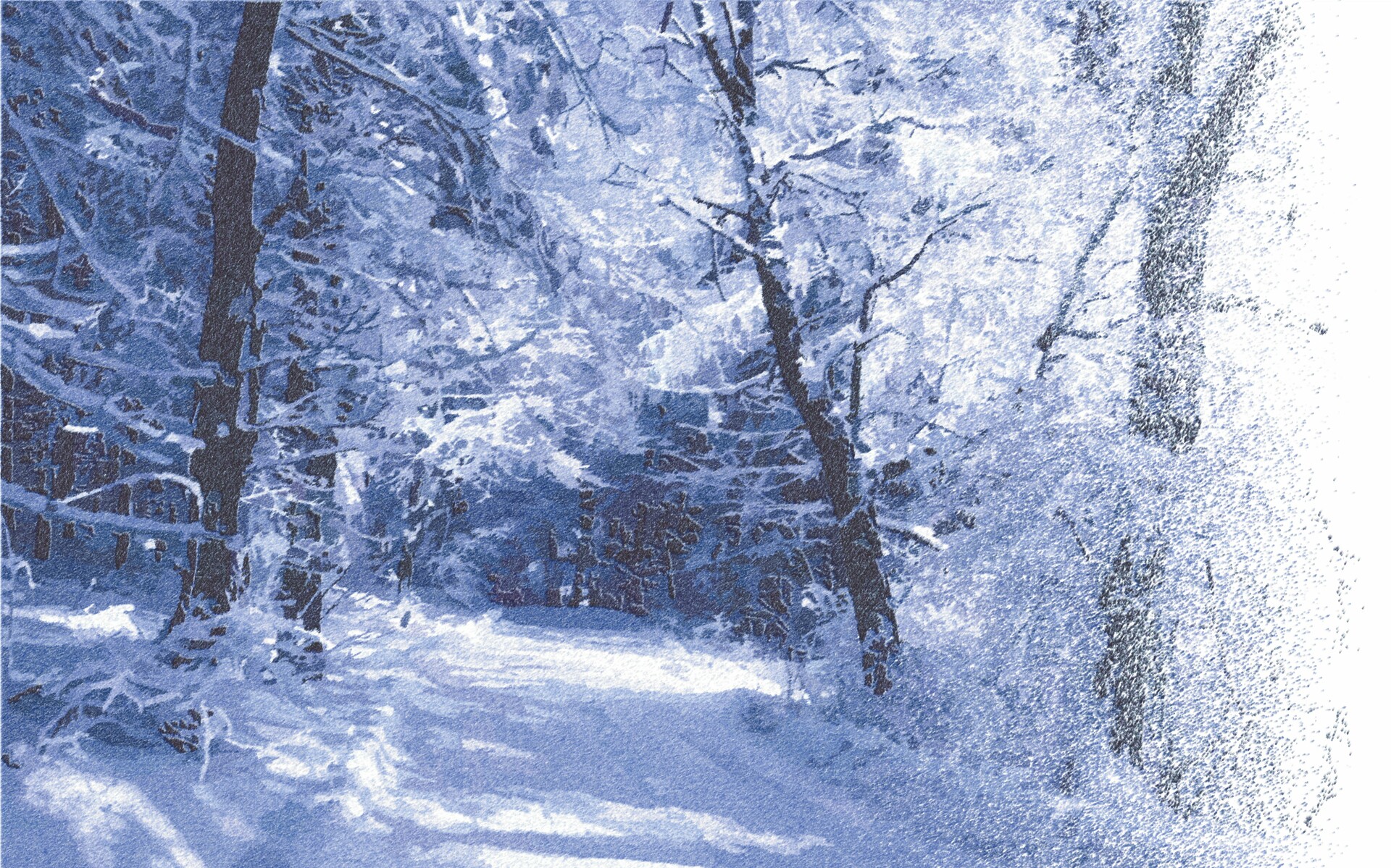 [Trama Global VIII] Final Test 1 Andrew-mx-snow-forest-sunshine-rox