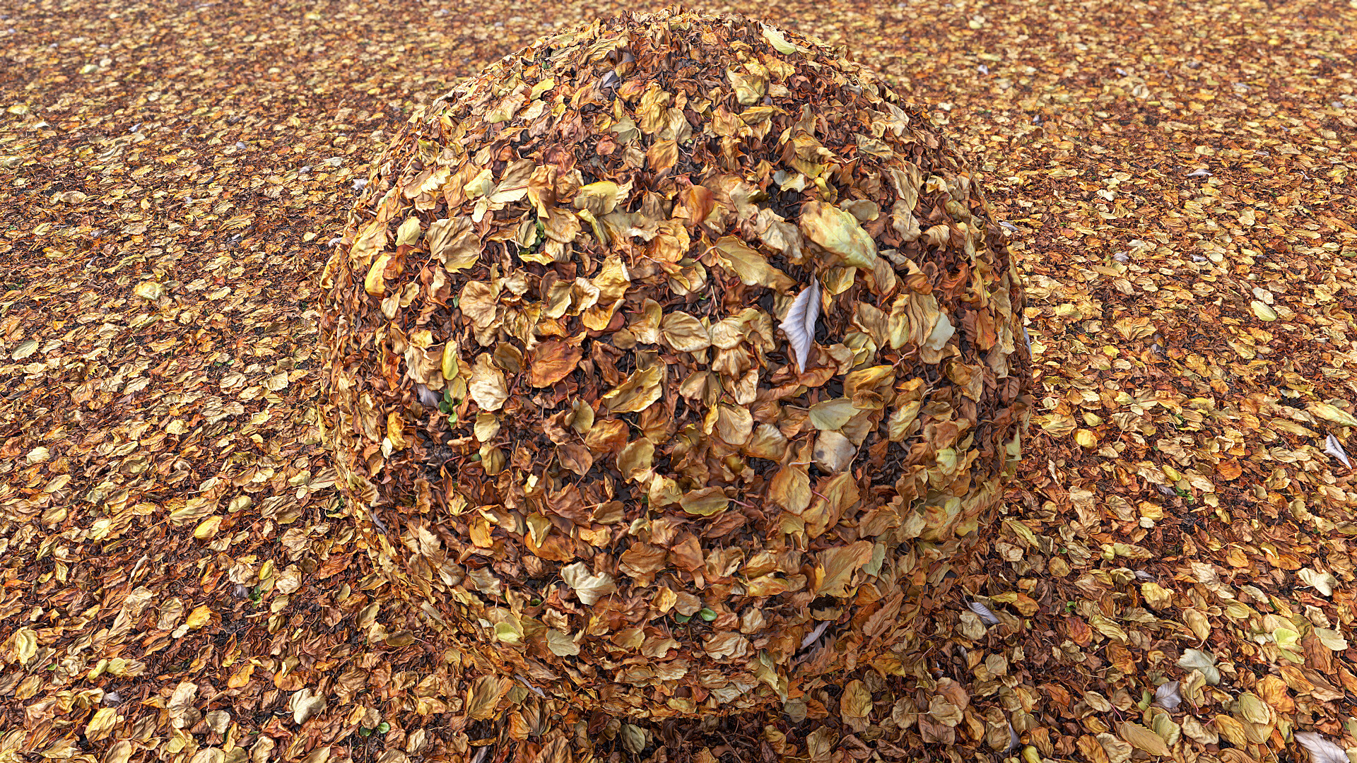 Grzegorz Baran Fallen Leaves Photogrammetry Based Environment Texture Grzegorz Baran Fallen Leaves Photogrammetry Based Environment Texture