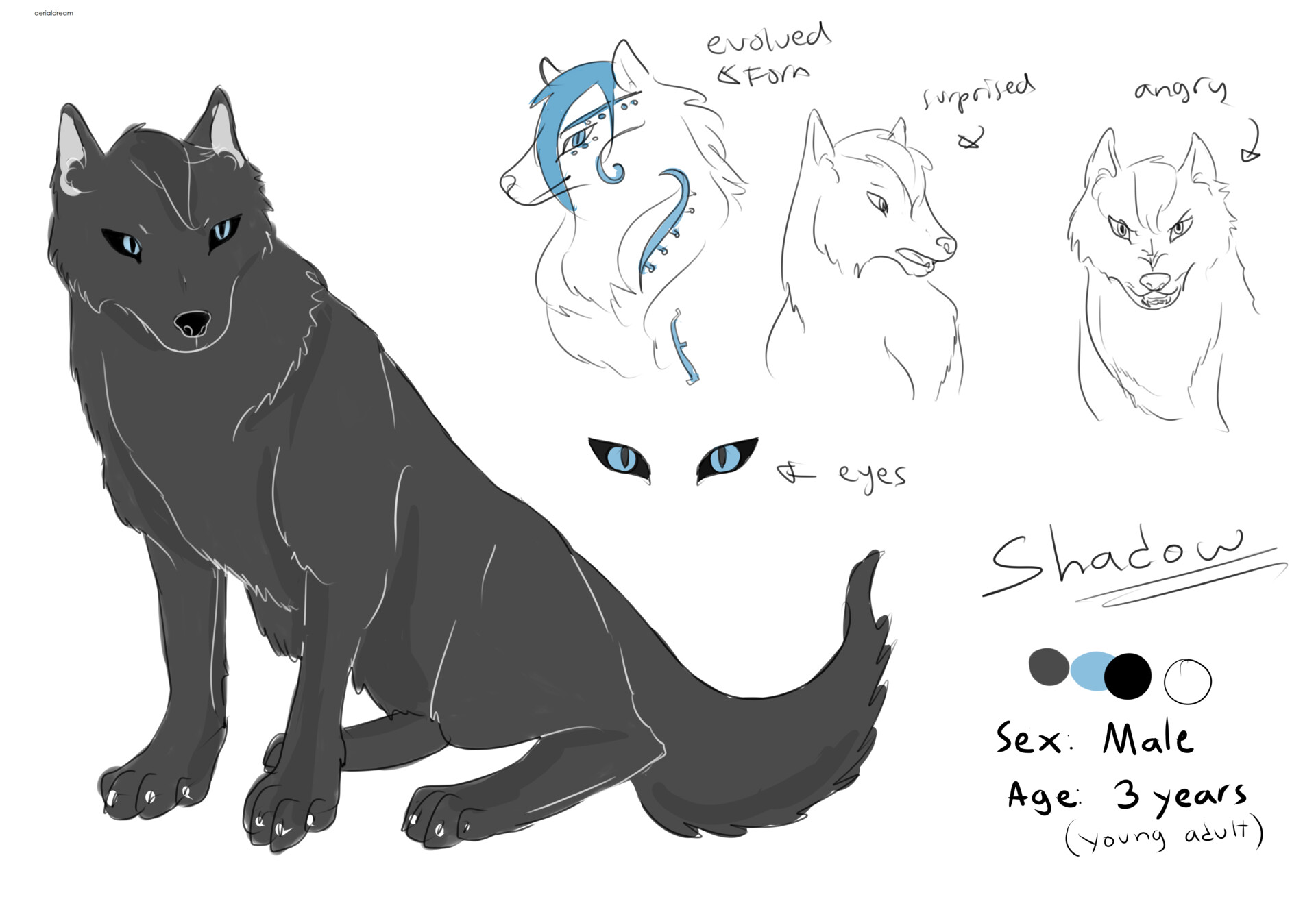 photo Anime Werewolf Concept Art
