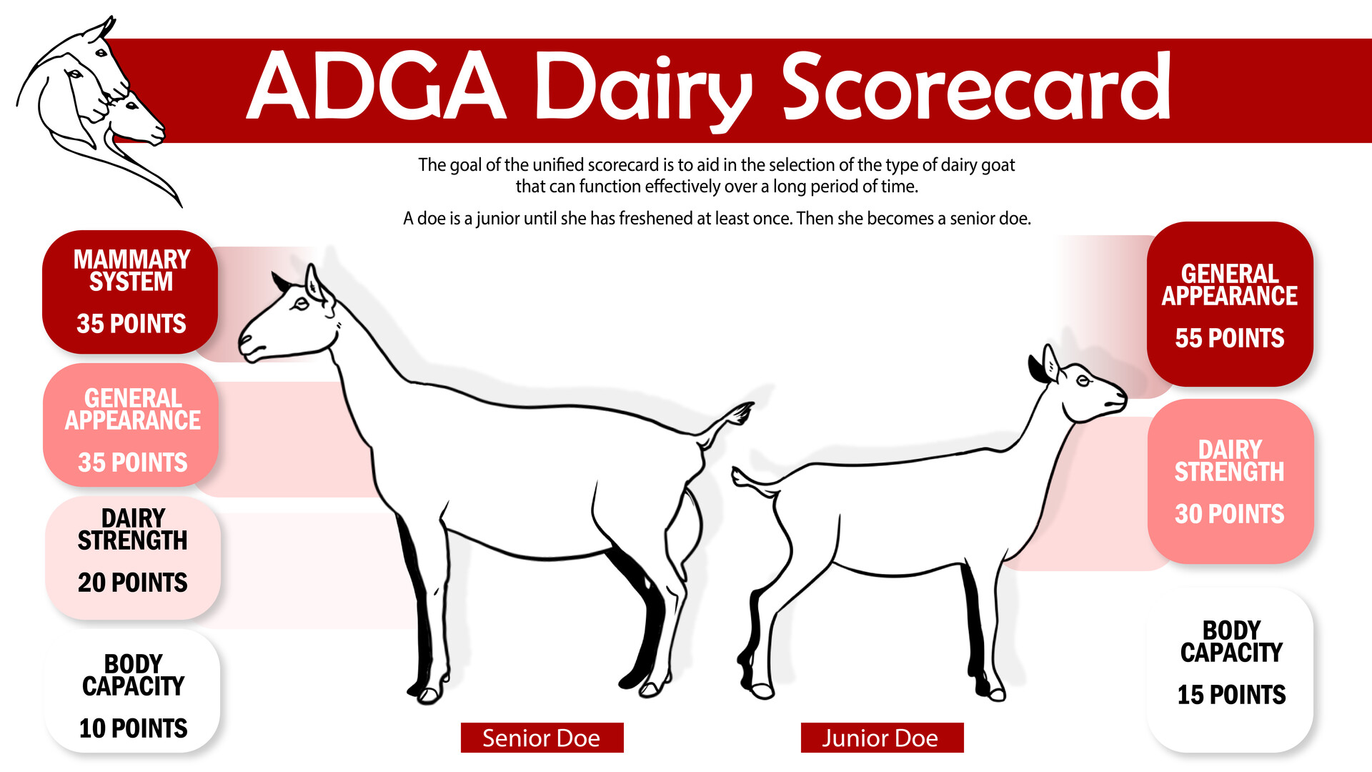 ArtStation ADGA Scorecard