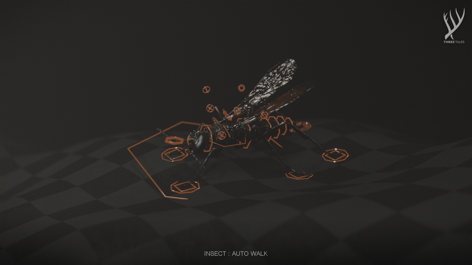 INSECT : AUTO WALK