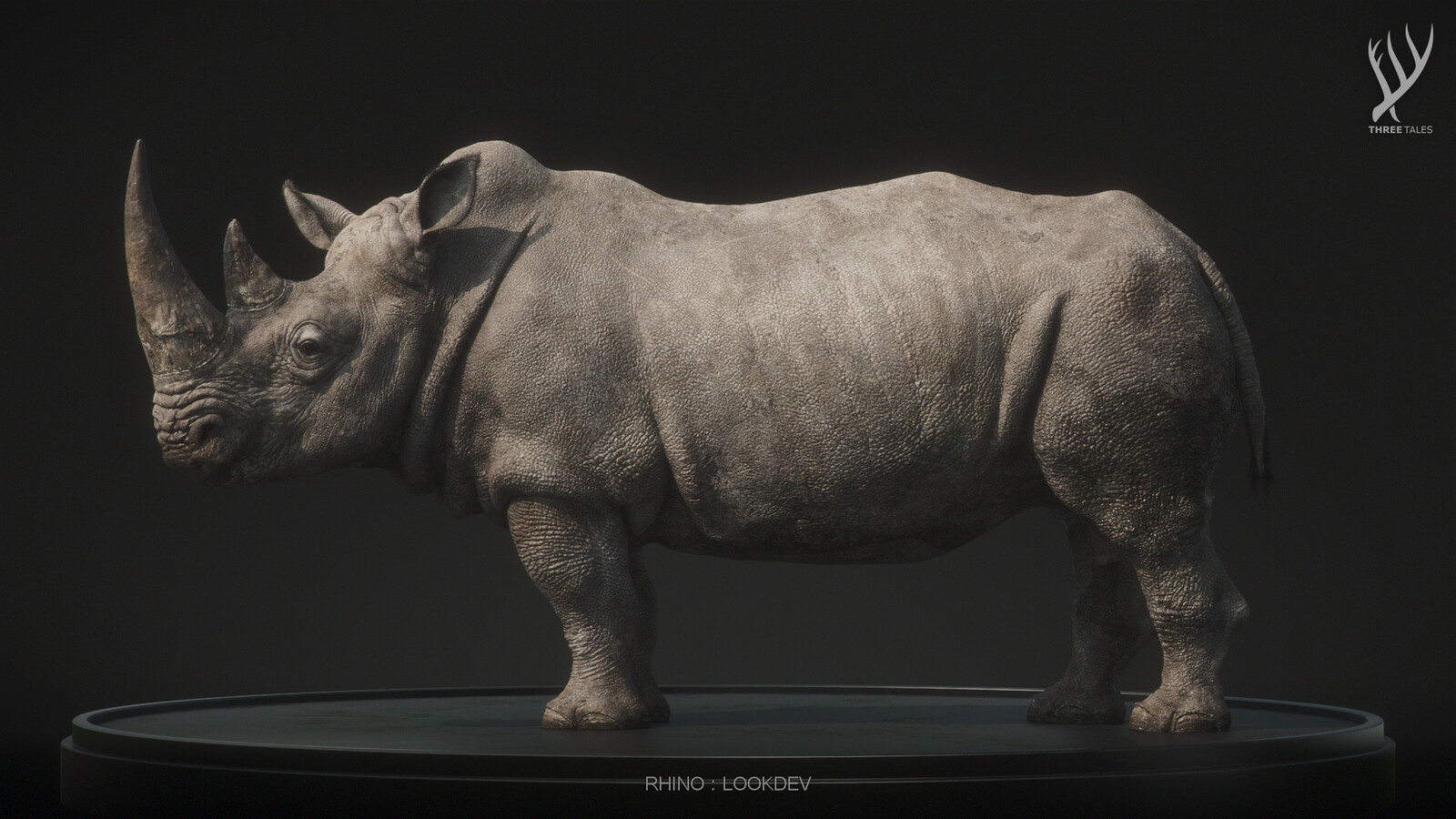 RHINO : LOOKDEV