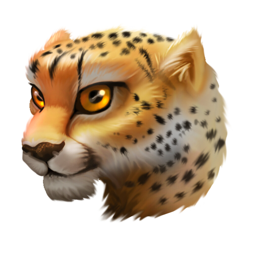 ArtStation - Wild Cat - Skill Game Character - Wild Cats