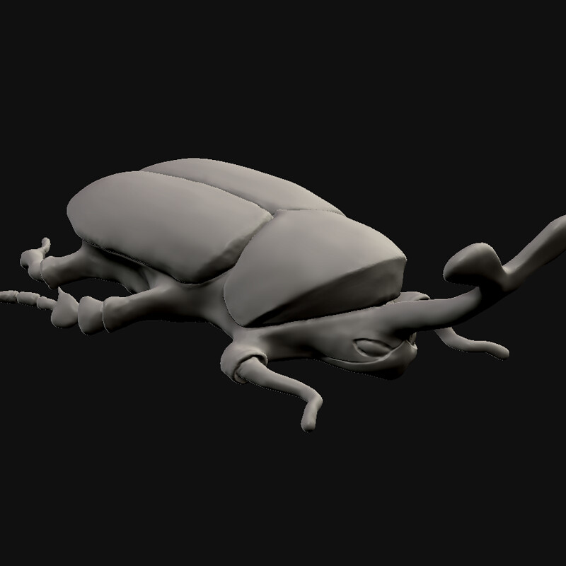 Rhino Beetle