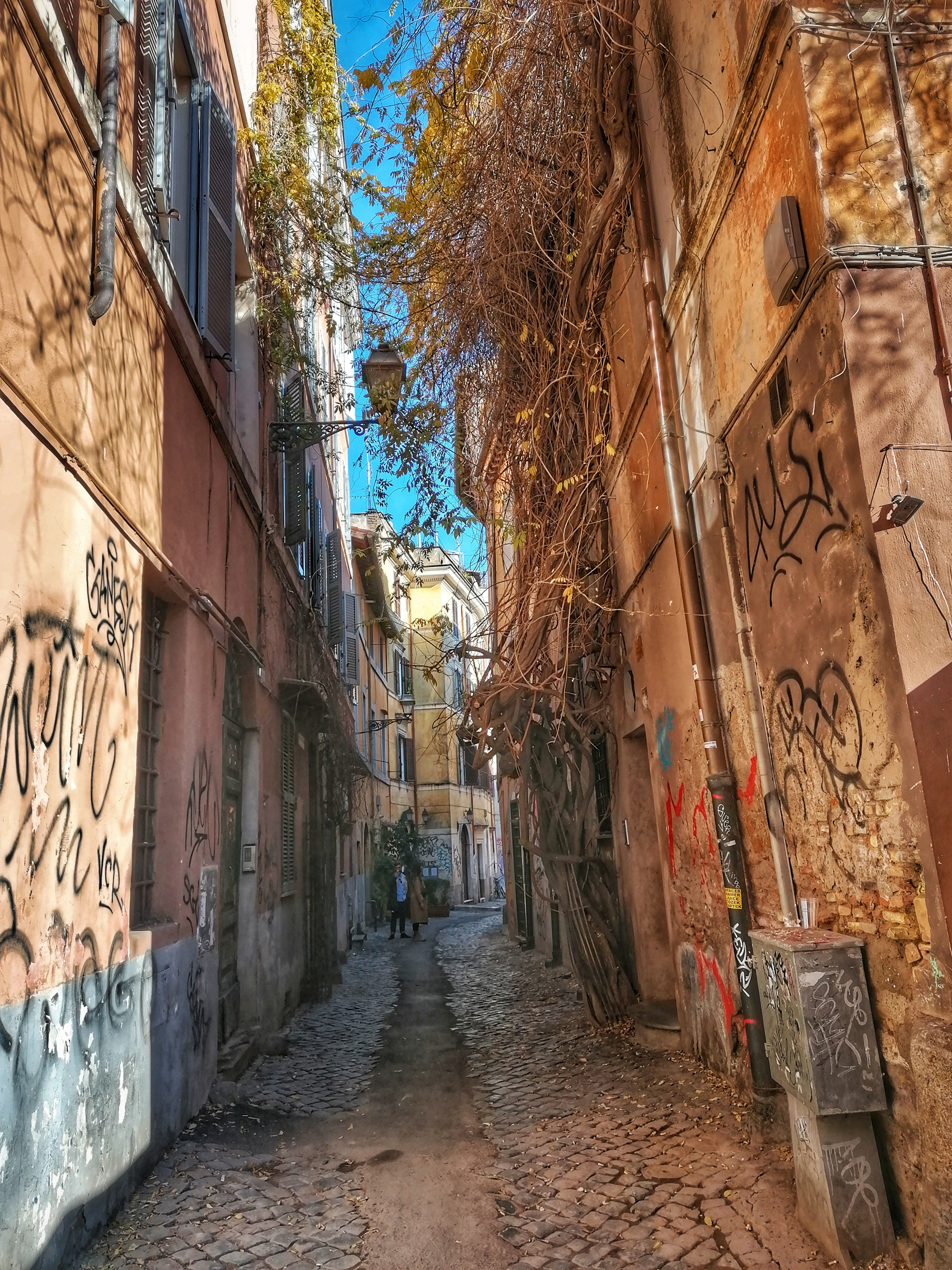 Trastevere.