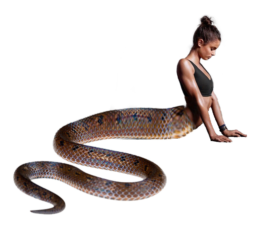 Doomw123 Roi Levy - lady snake
