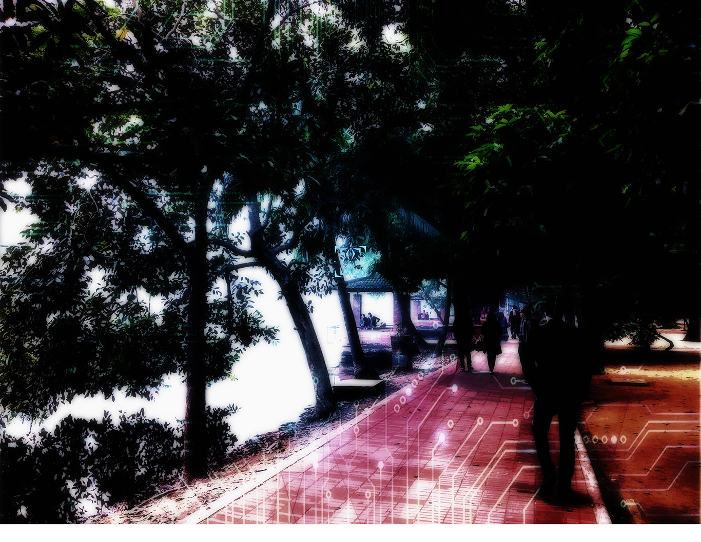 Dhaka_ Urban Garden_01