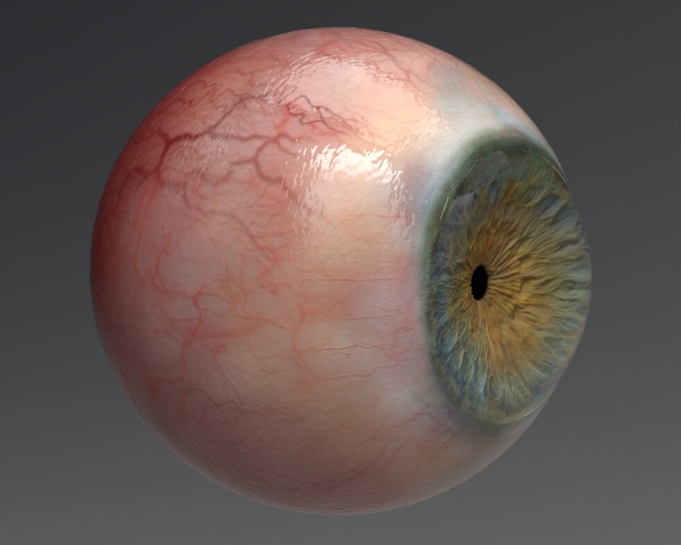 Look development of photorealistic eyes for the character.