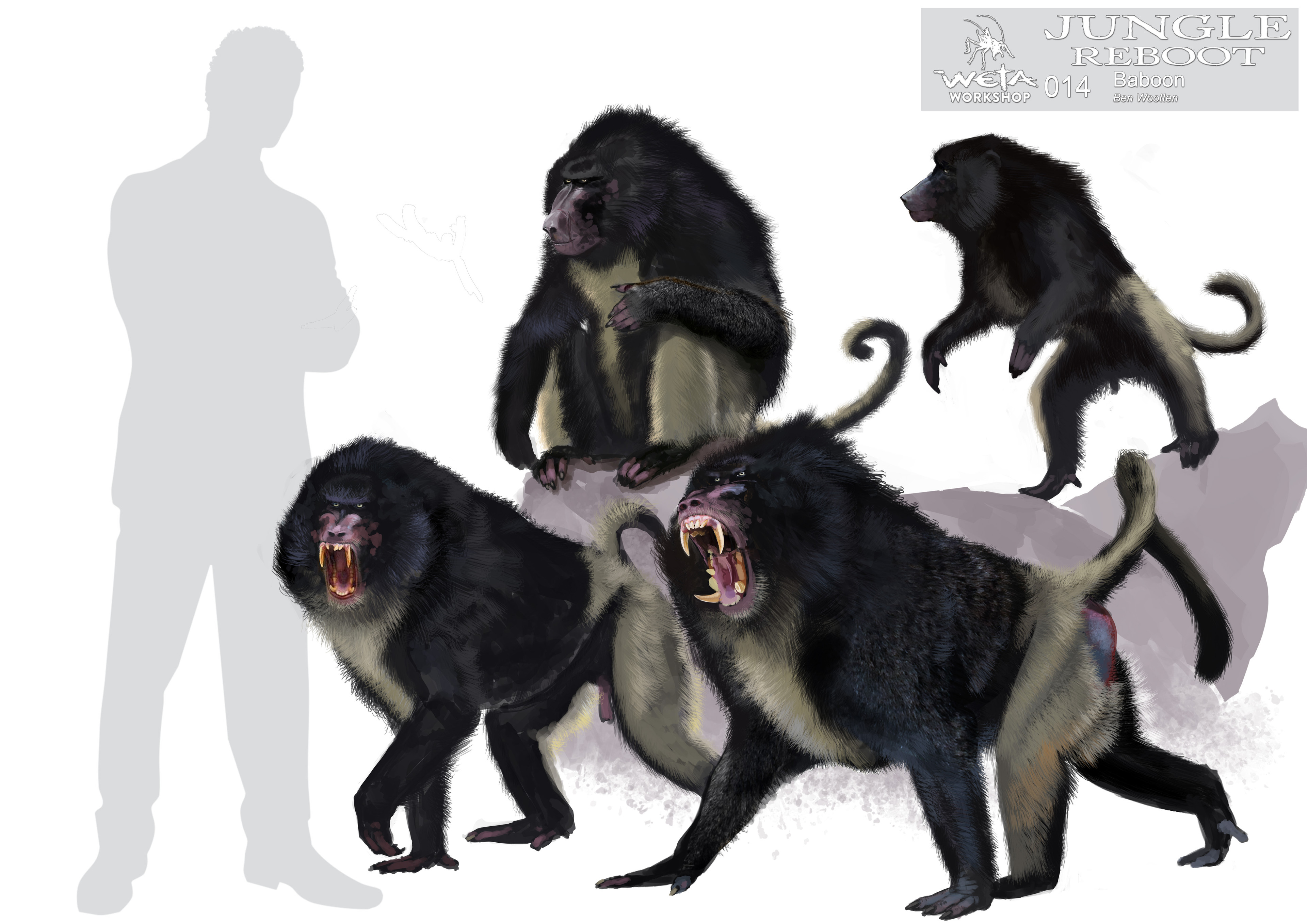 Mandrill Design - Artist: Ben Wootten