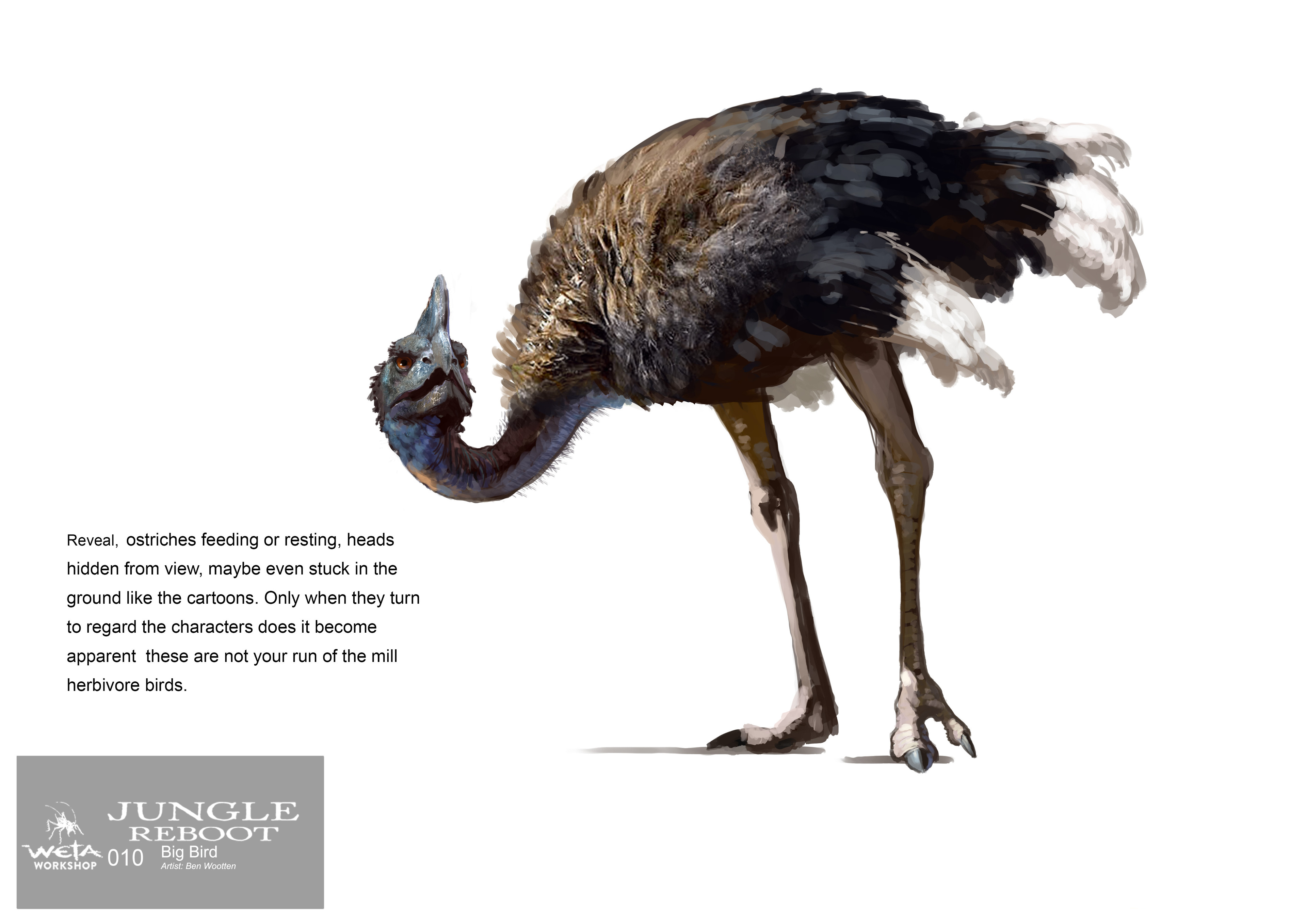Ostrich Design - Artist: Ben Wootten 