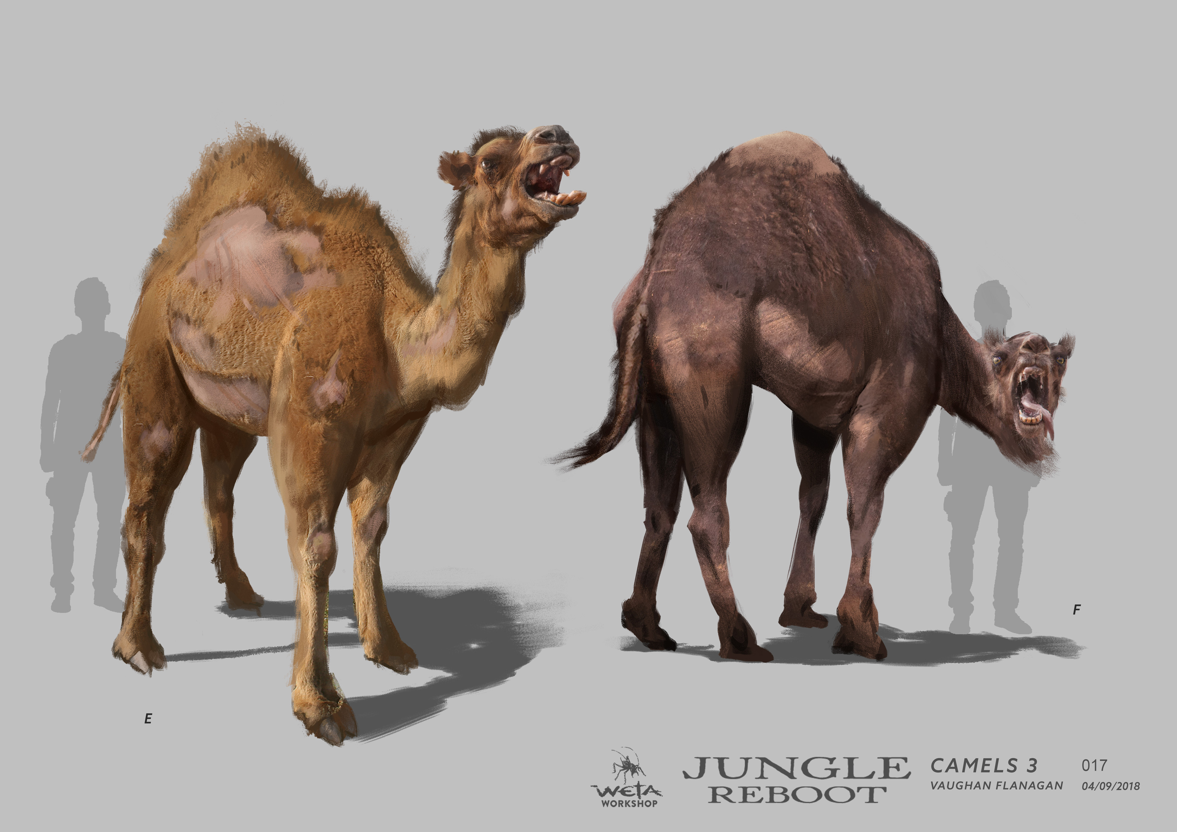 Camel Design - Artist: Vaughan Flanagan