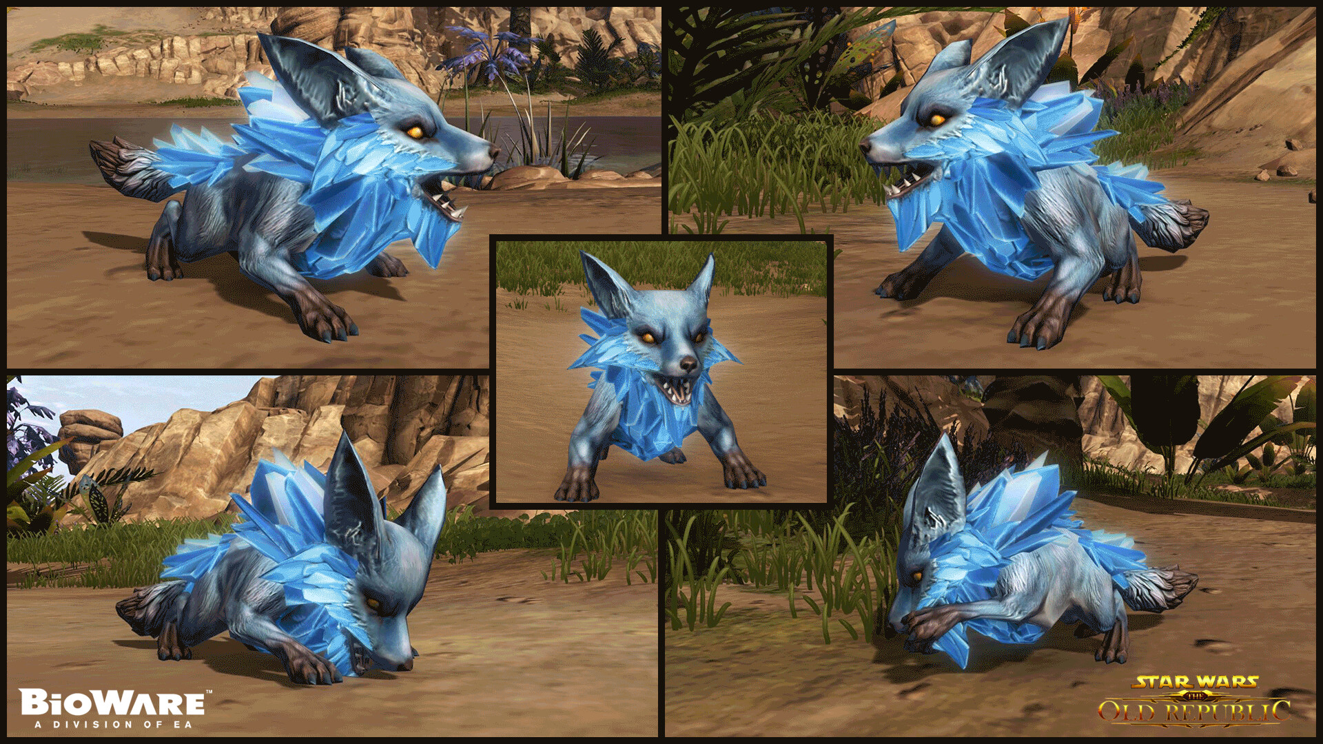 star wars the old republic pets star wars the old republic pets