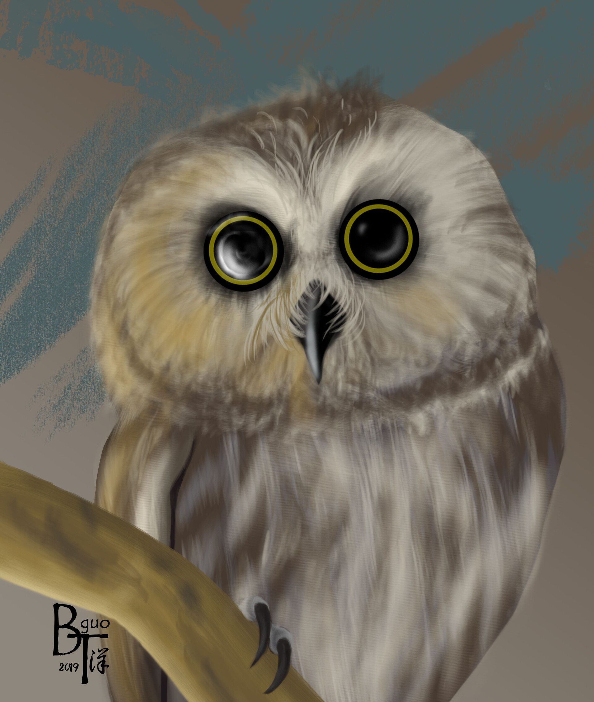 Betty Guo Baby Barn Owl