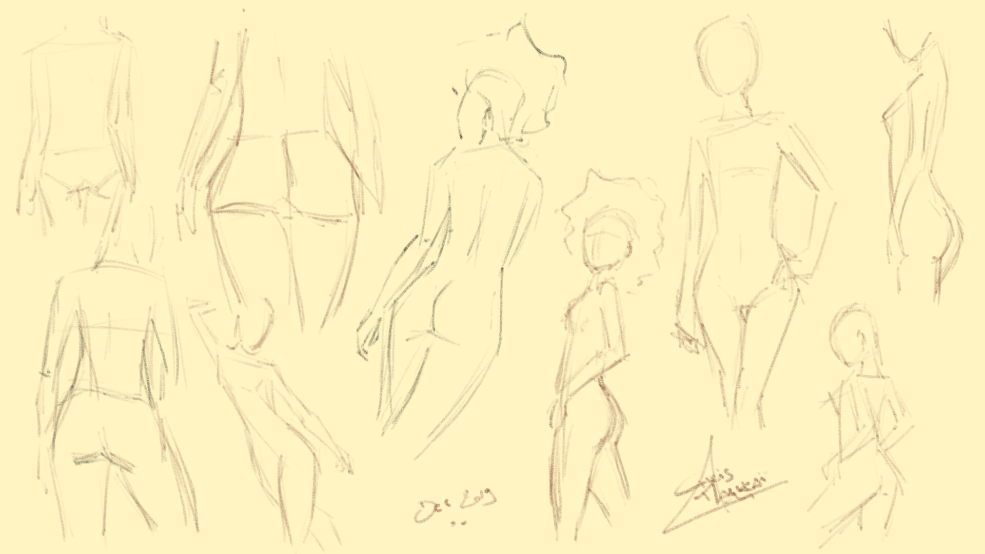 Malukai Animation Study Woman Anatomy