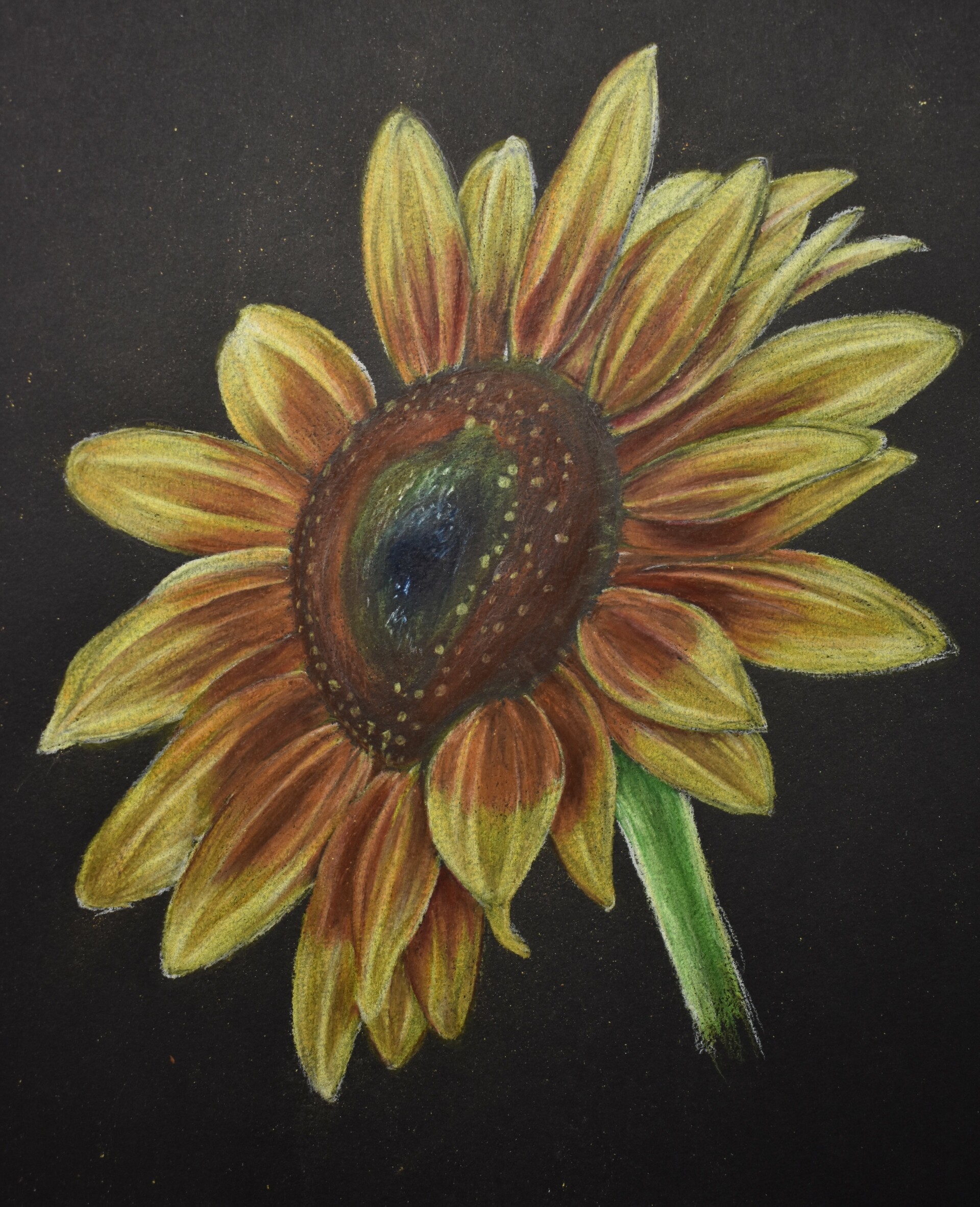 How To Draw A Sunflower Easy Step by Step - Smiling Colors