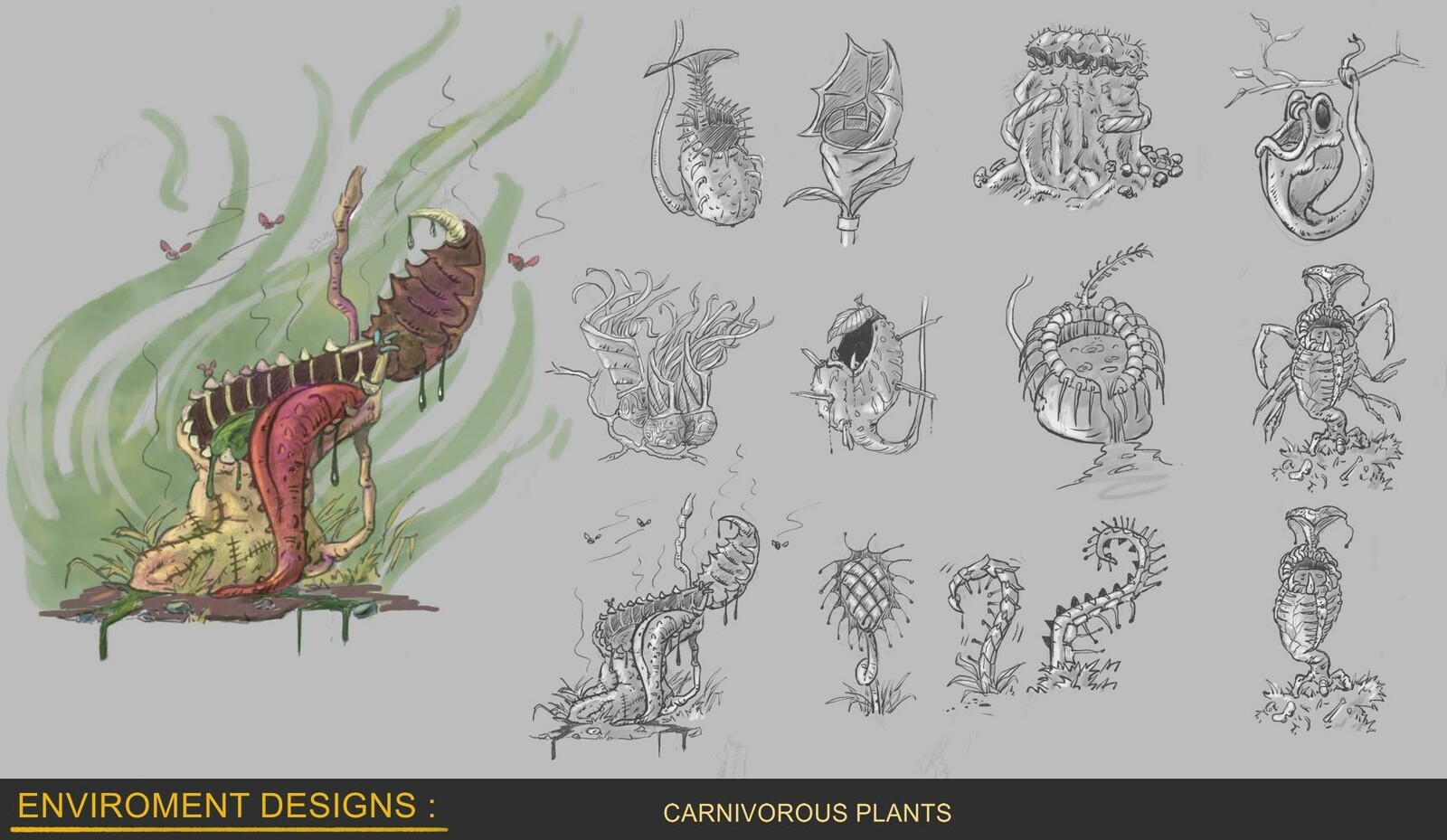 Carnivorous Plants