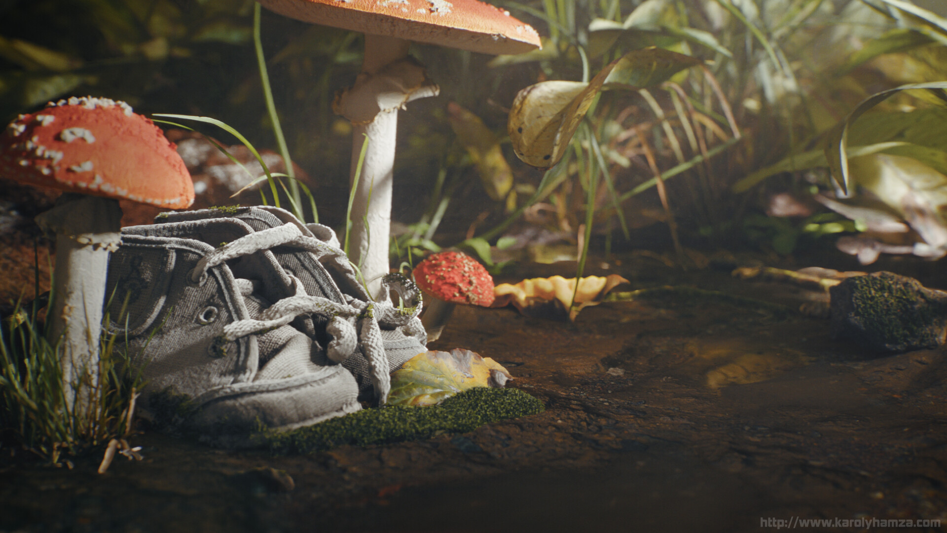 The fairies took my shoes :)  (Personal Project)