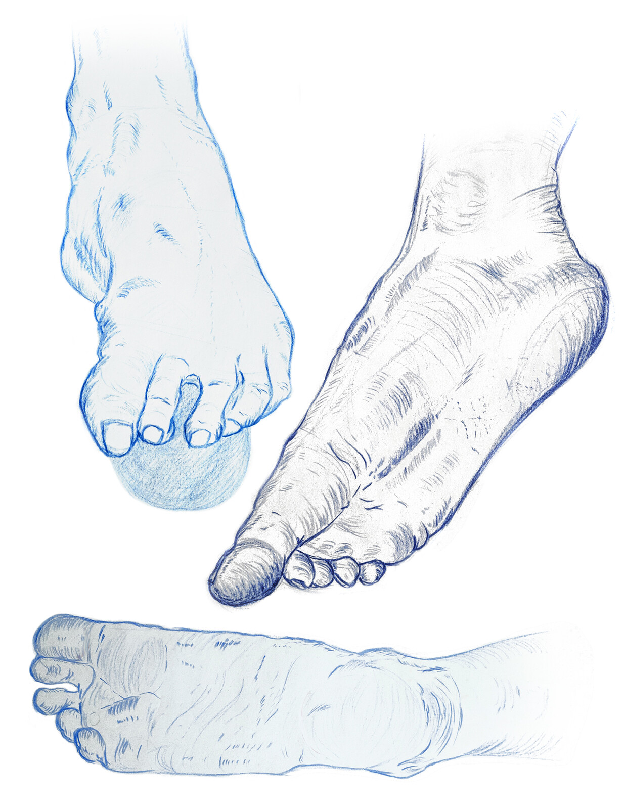 Foot Studies