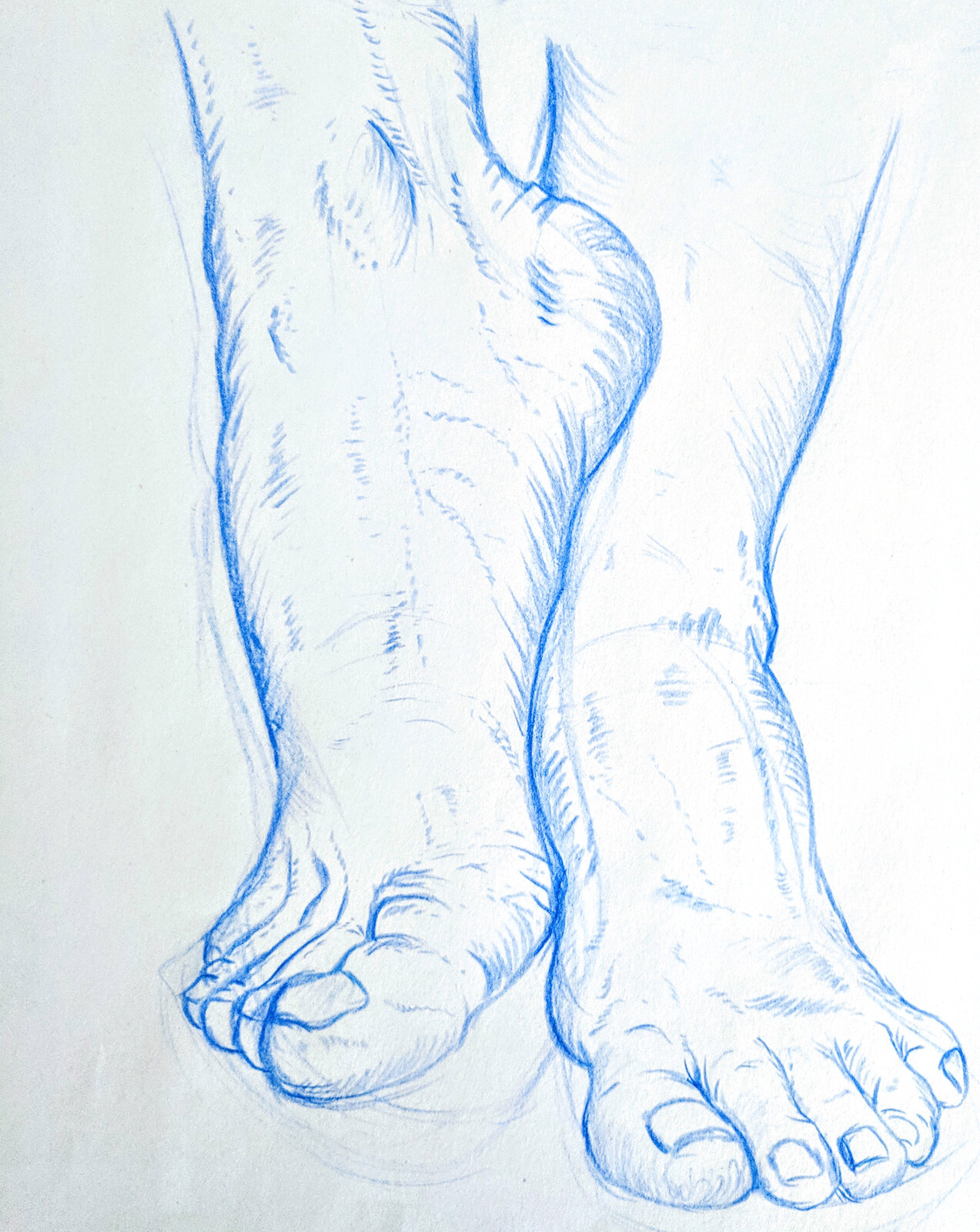 Foot Studies