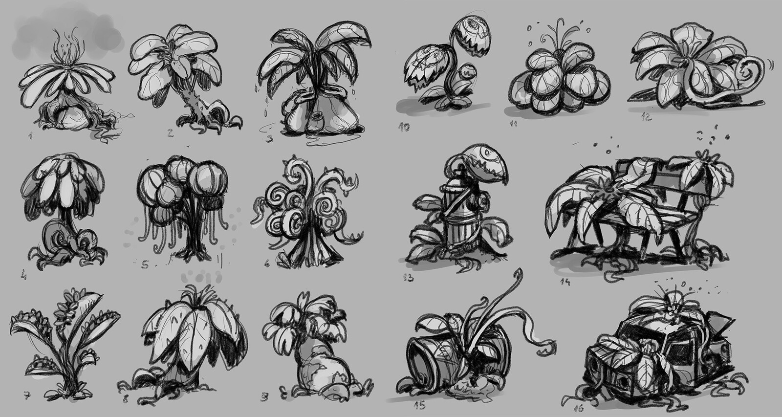 Plants option sketching