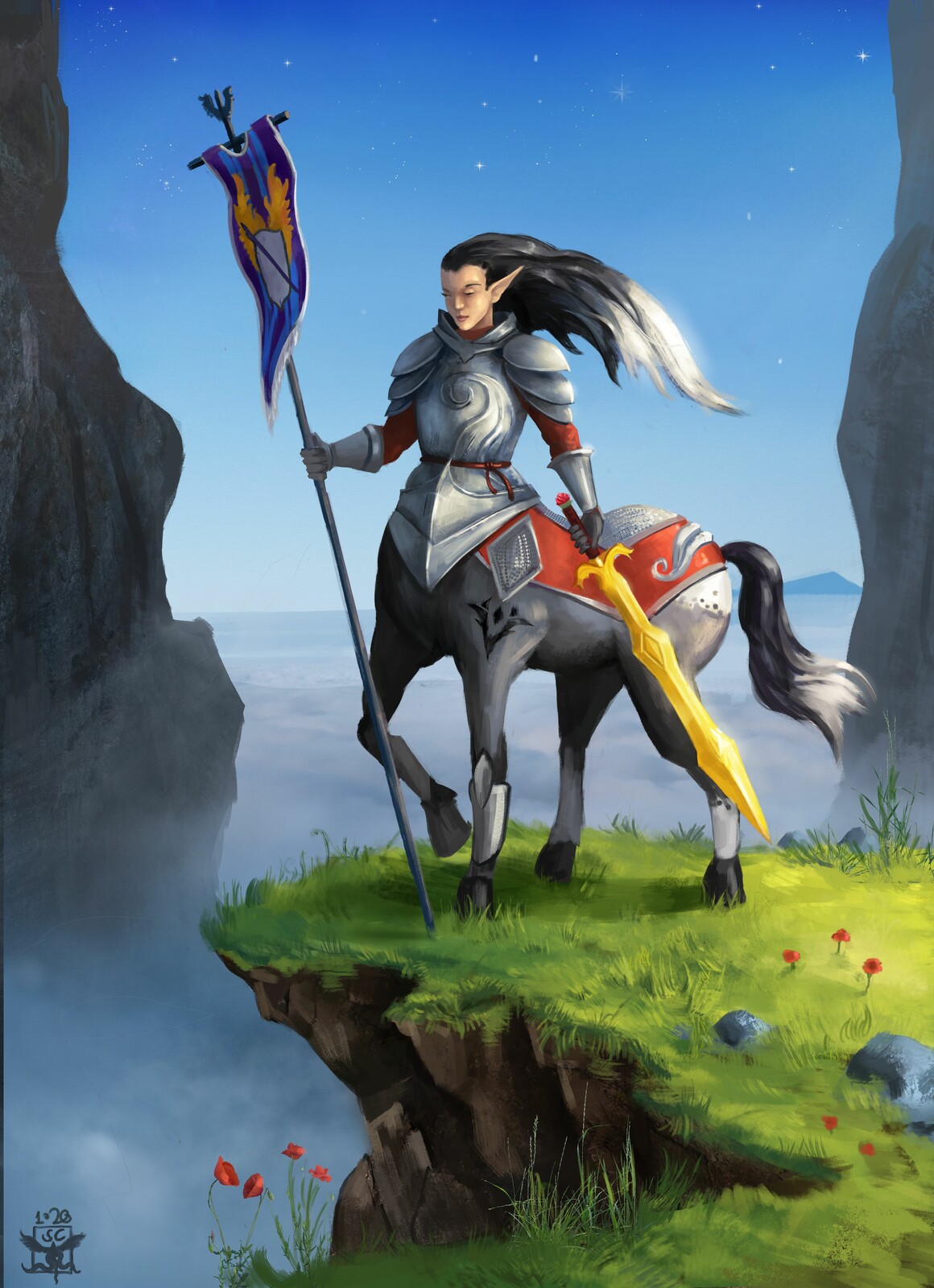 A Paladin of Valkyria