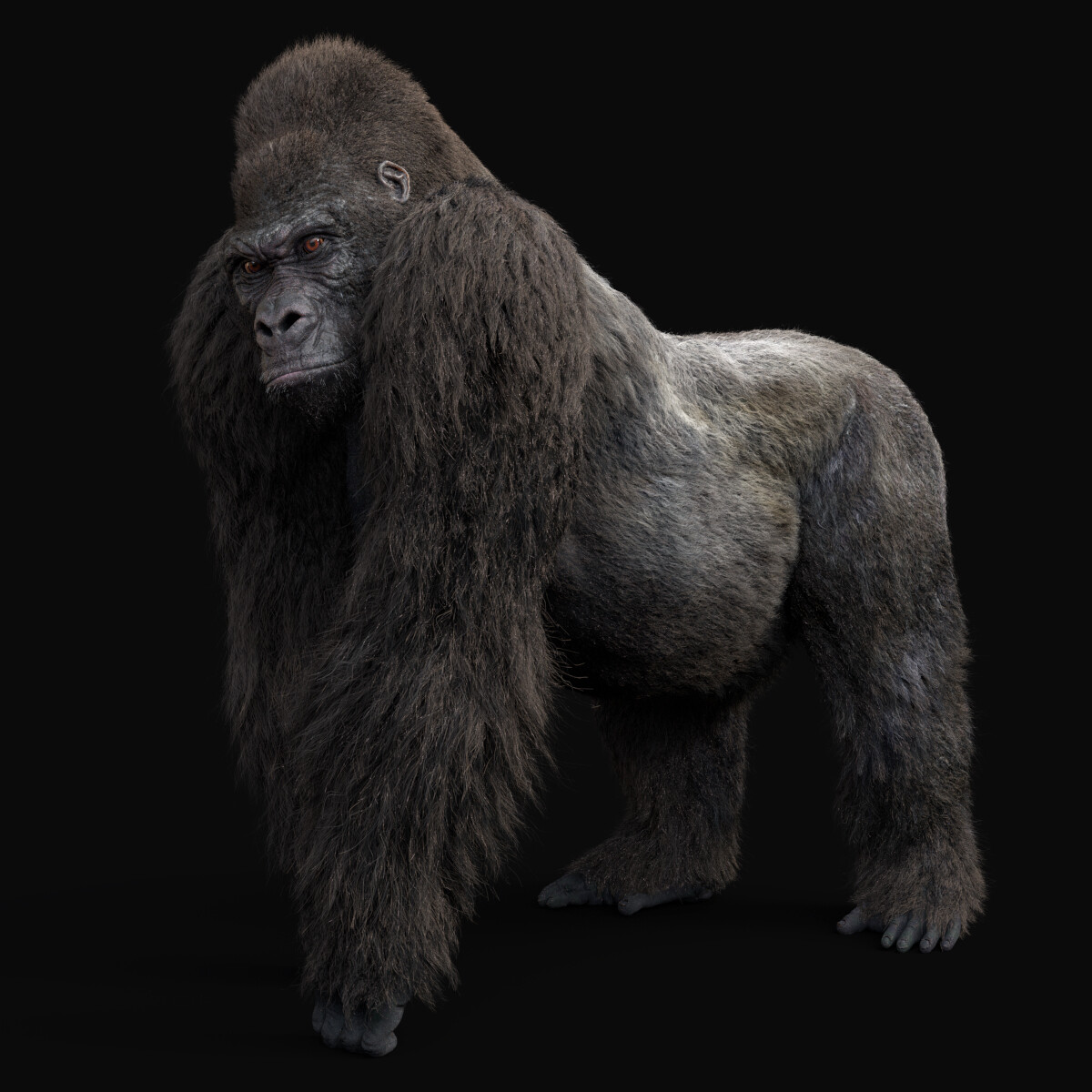 Gorilla Pose 1 3D Model $99 - .3ds .obj .max .c4d .ma - Free3D