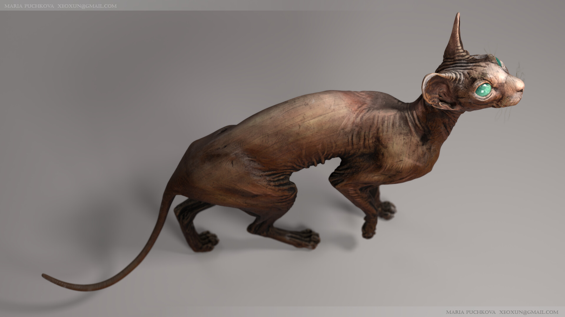 Maria Puchkova - Sphynx Cat Study