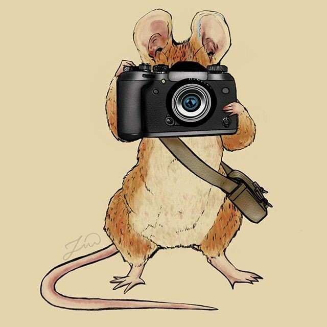 jenny-paek-the-finished-product-nomadic-