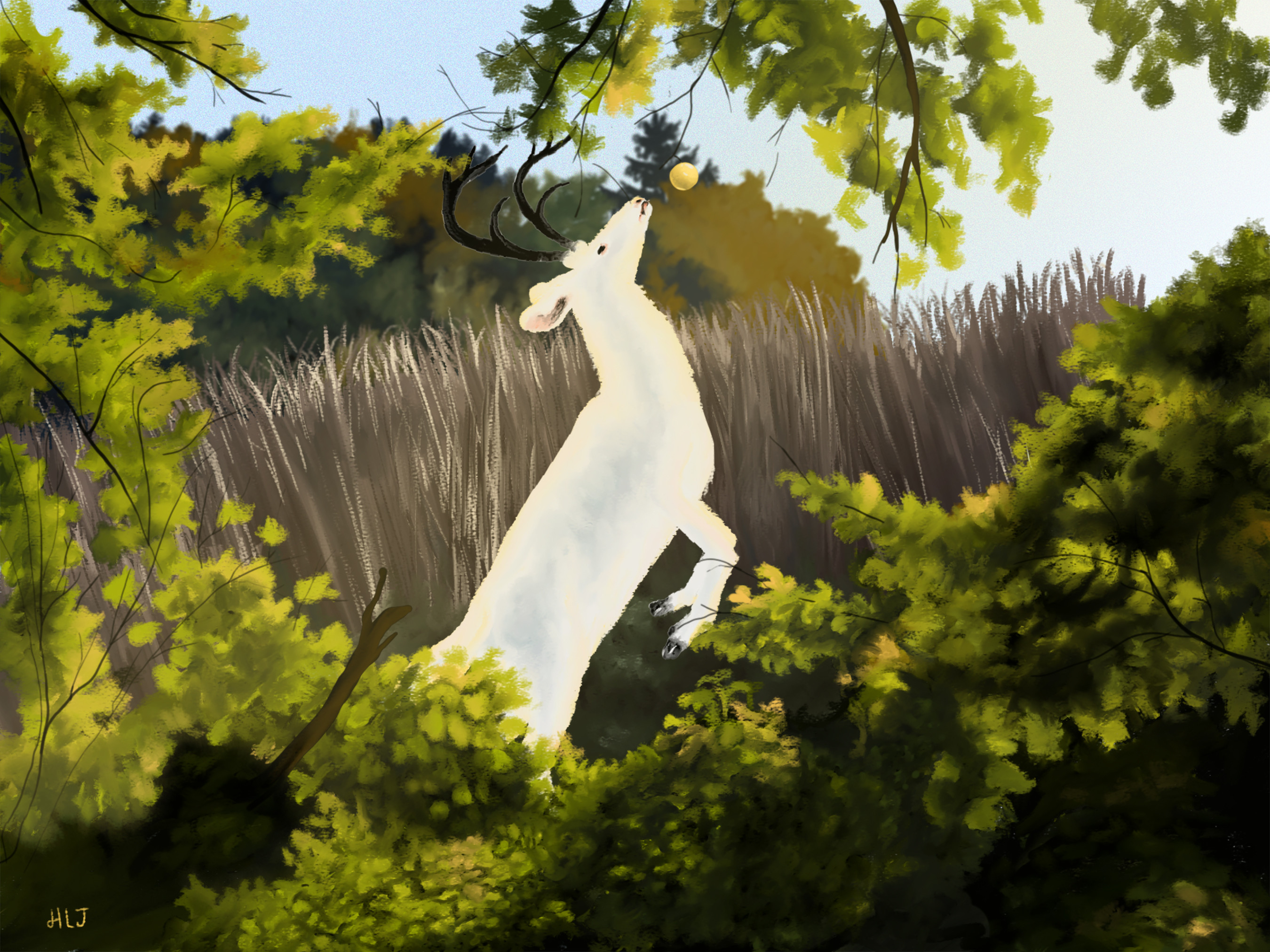 The willows are dead but you are alive.