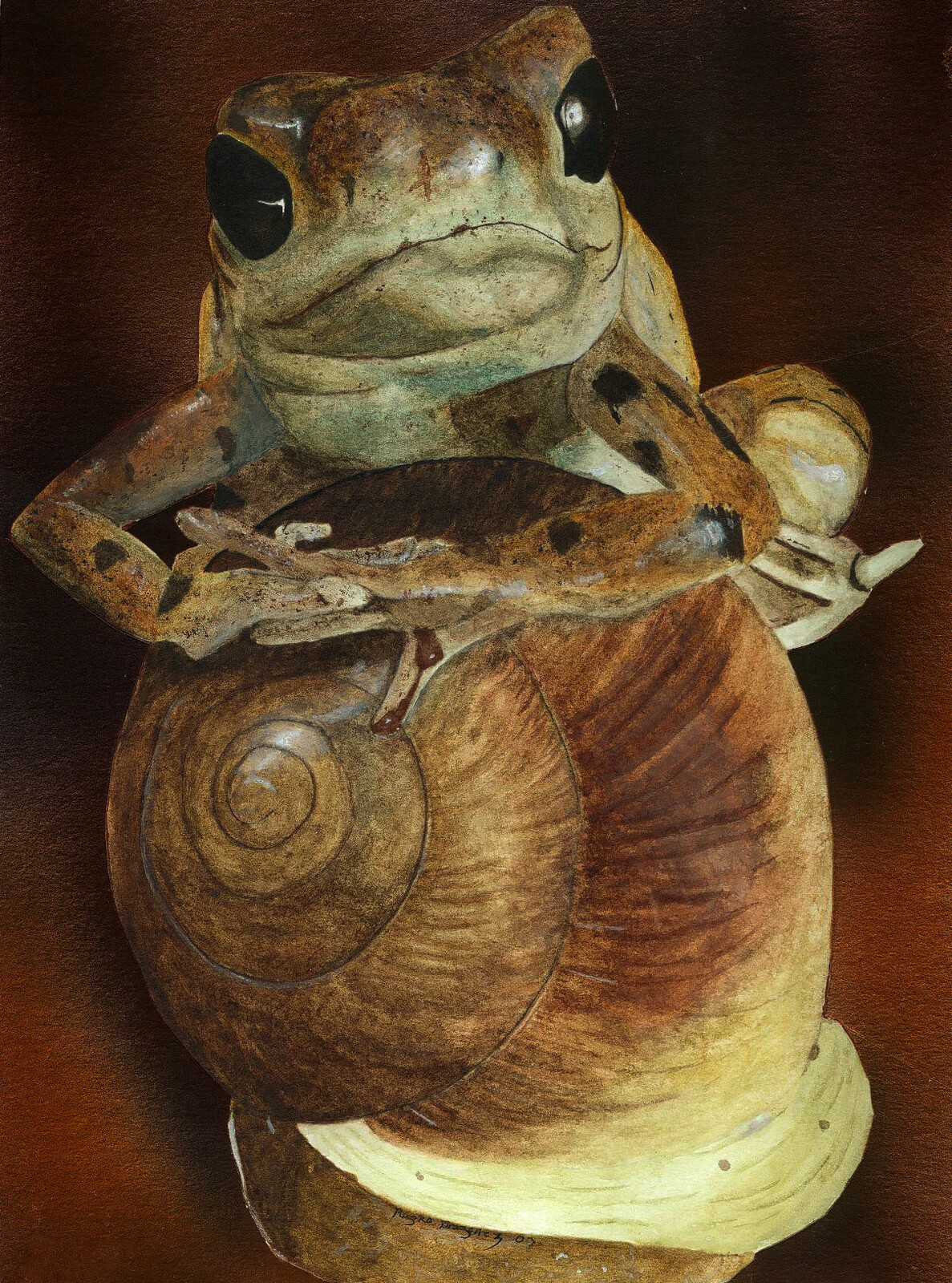 Frog 2003