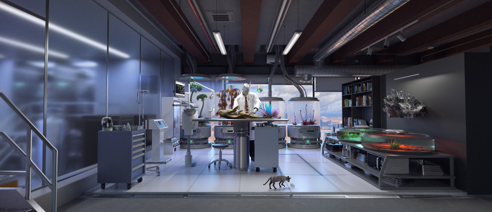 As islands emerge, new species of plants and animals appear with them, which must be researched.