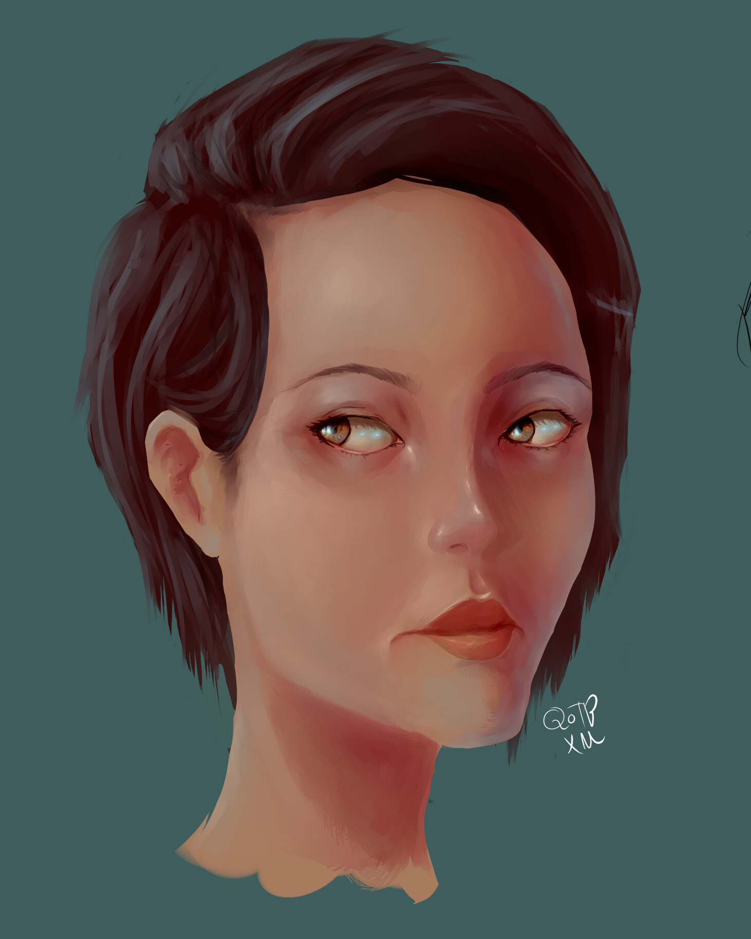 ArtStation - typical shorthair