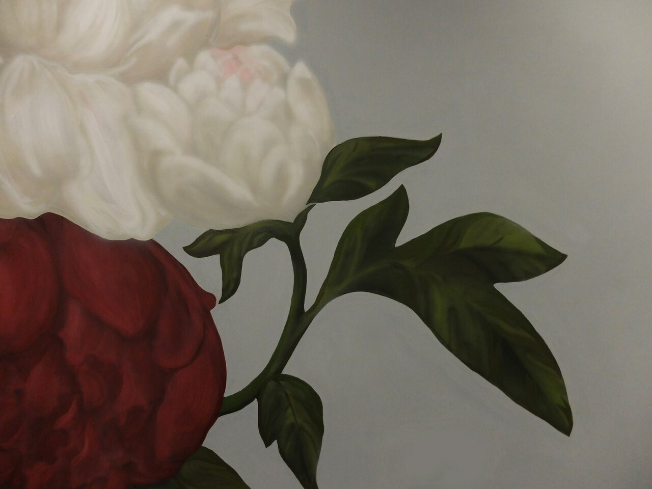 Artstation Peony Airbrush Wall Painting In Gym Sofiya Dziubliuk